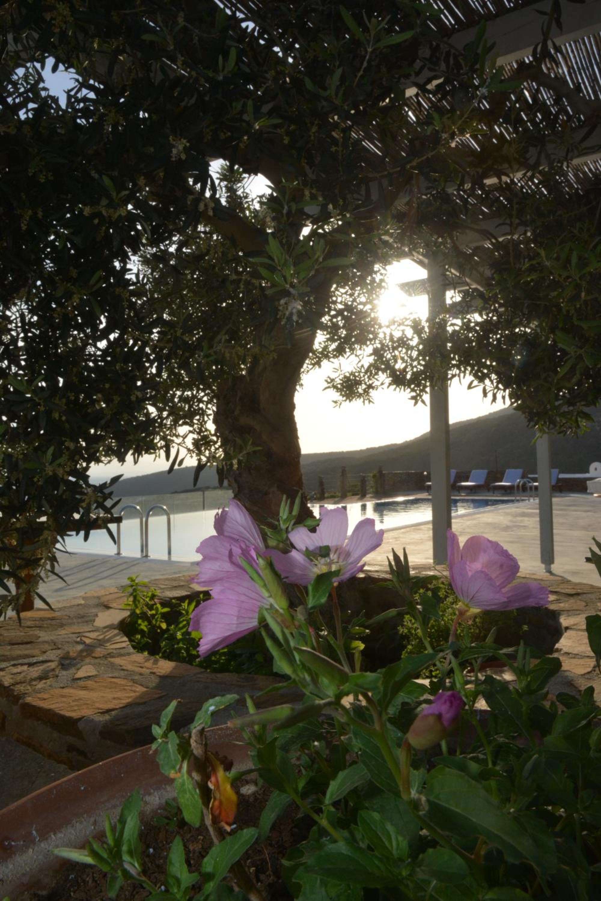 Celini Suites Hotel