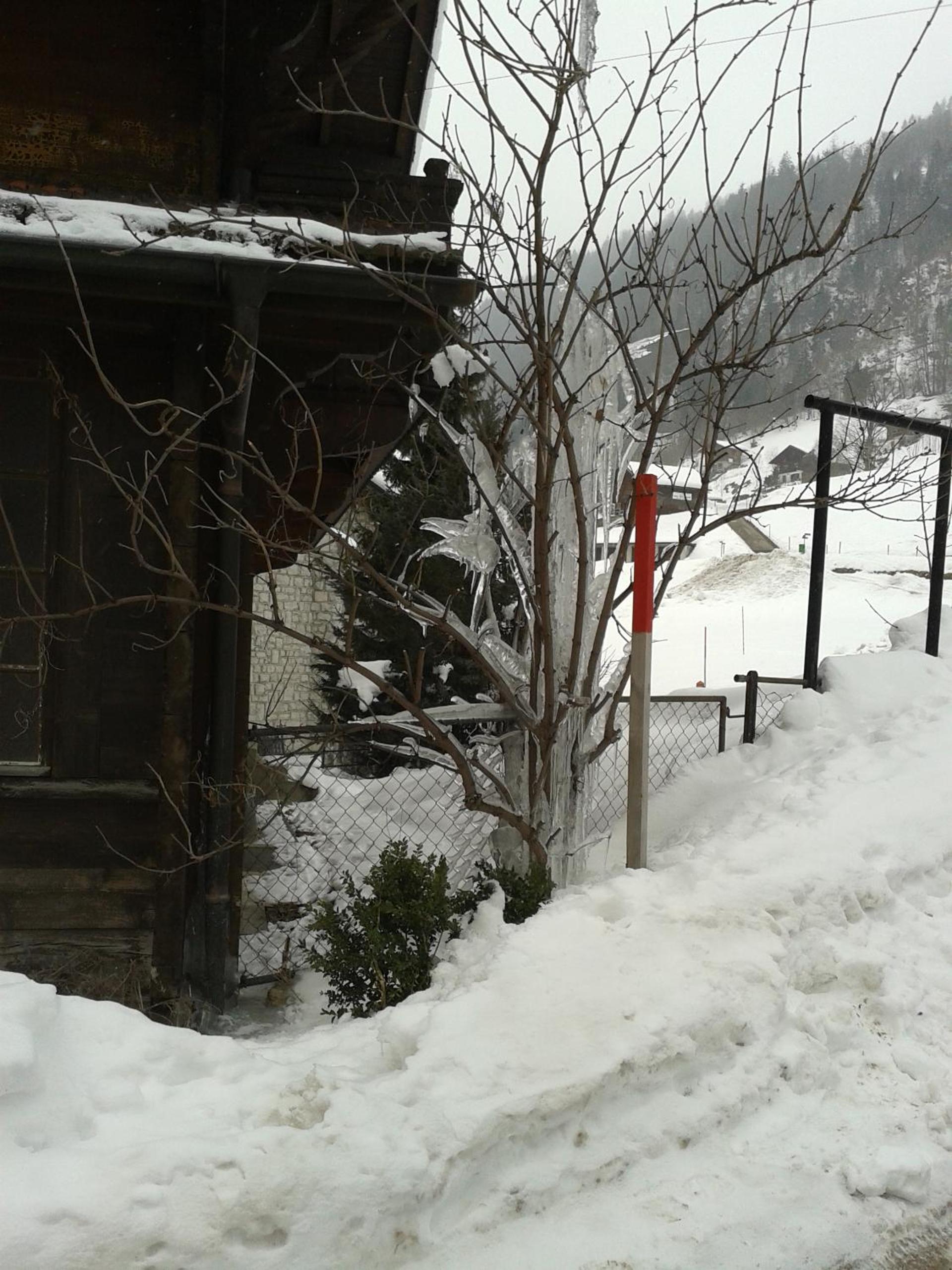 Photo 44