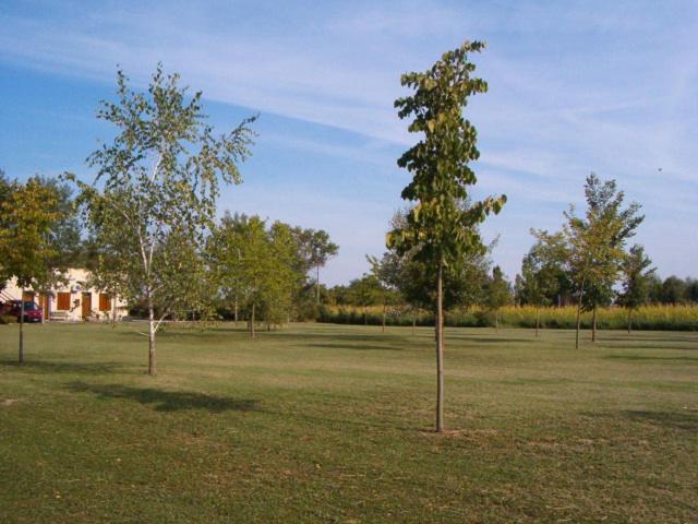 children's play area
