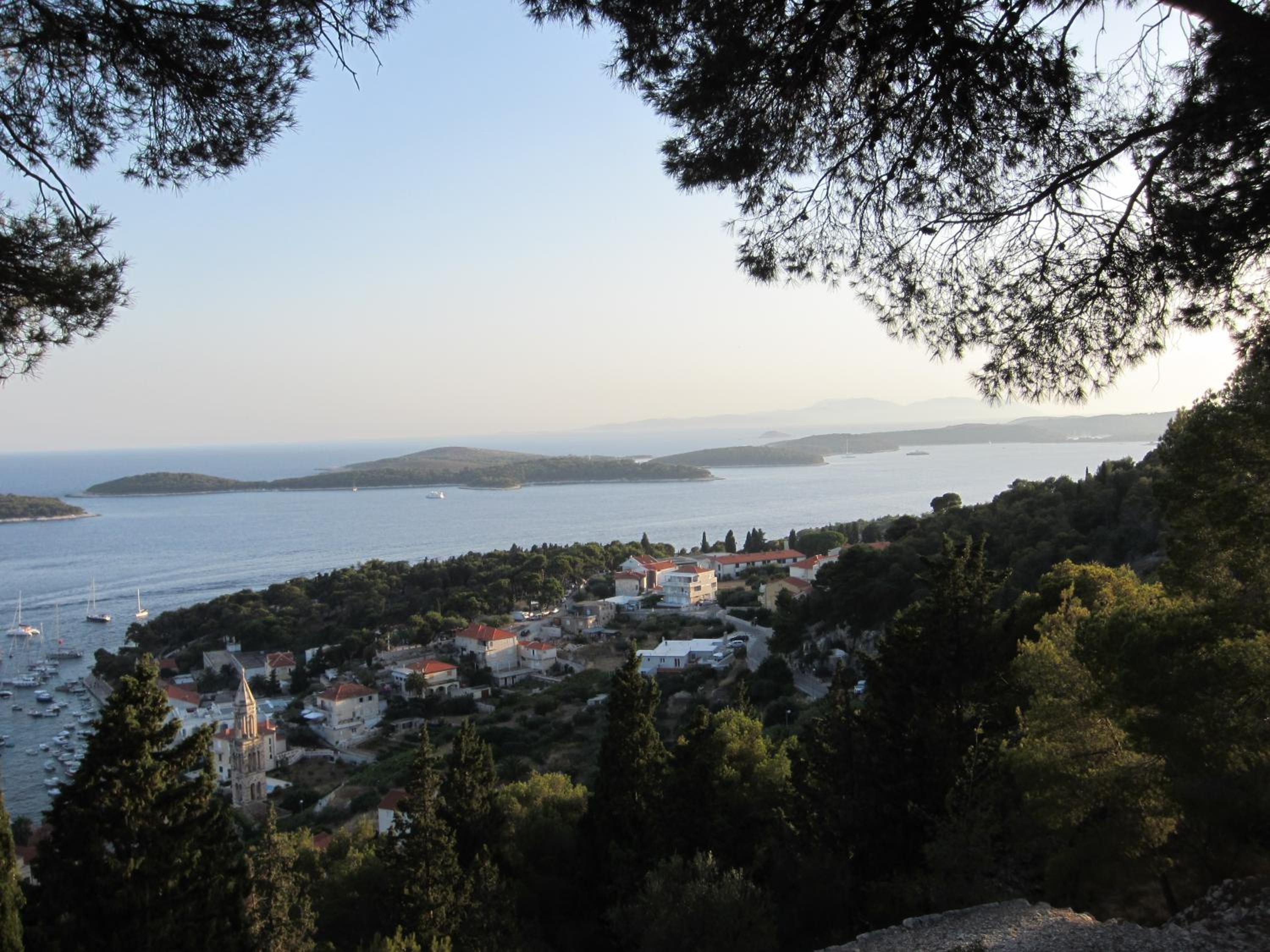 Photo 44