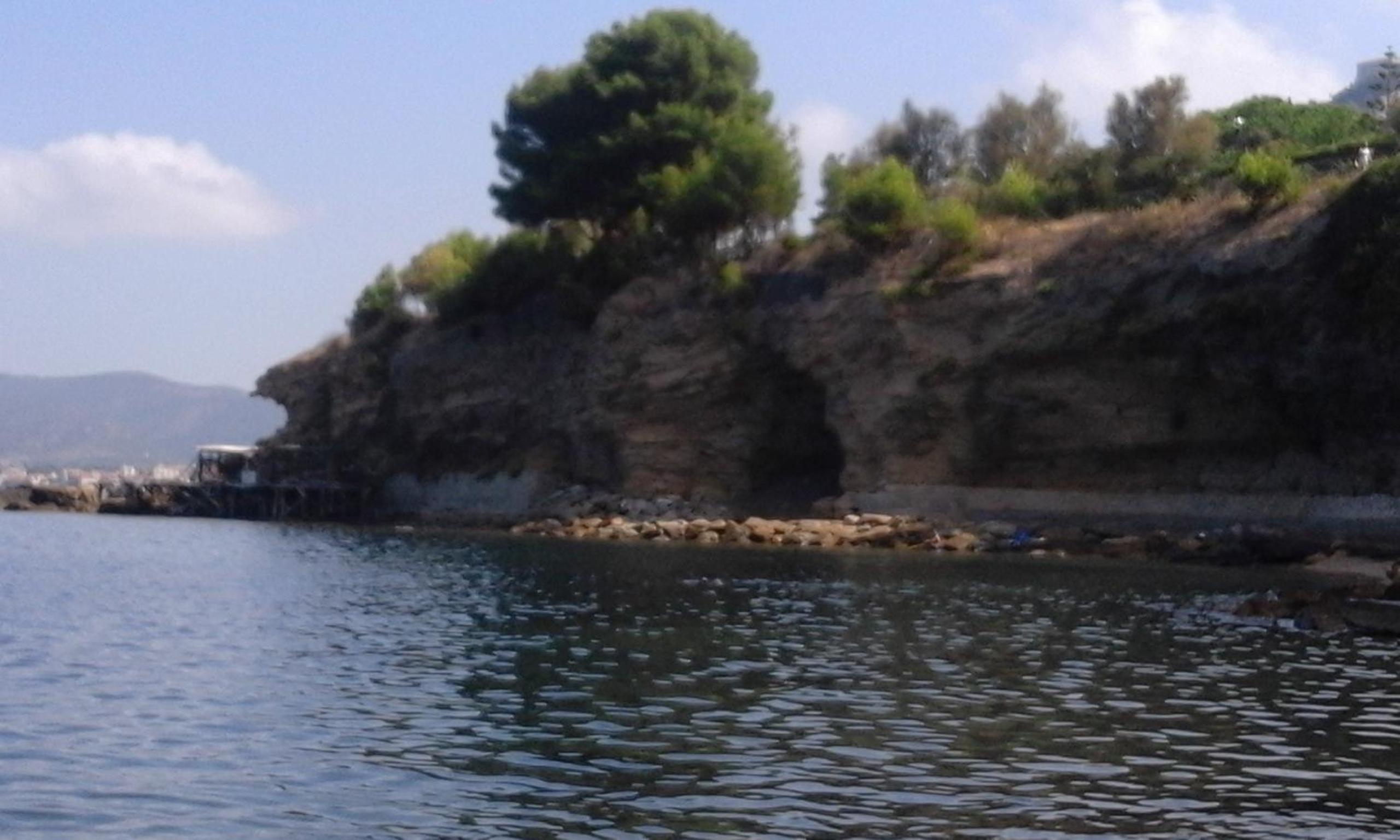 Photo 41