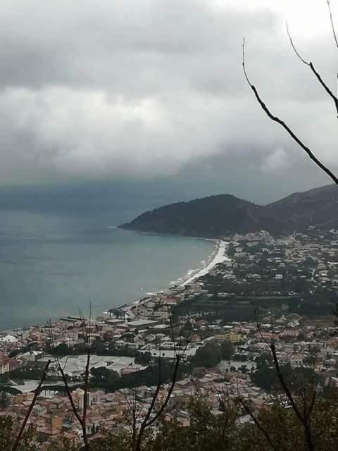 Photo 40