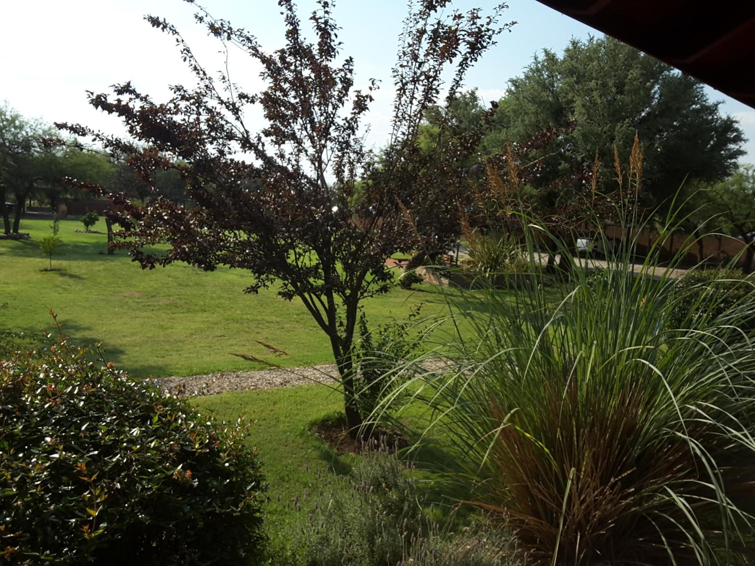 Lauquen Pilmaiquen y spa