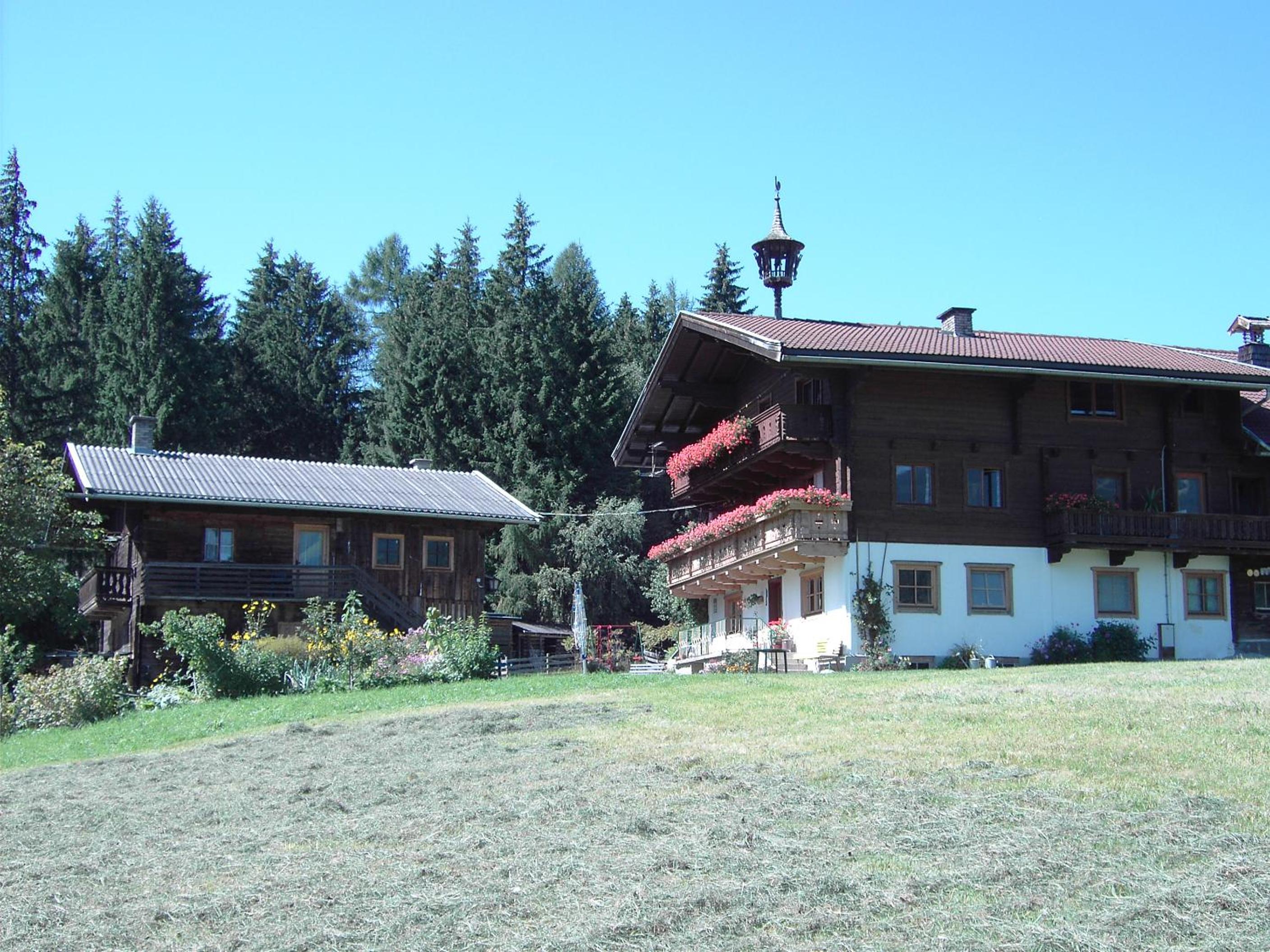 Mitterhaidgut
