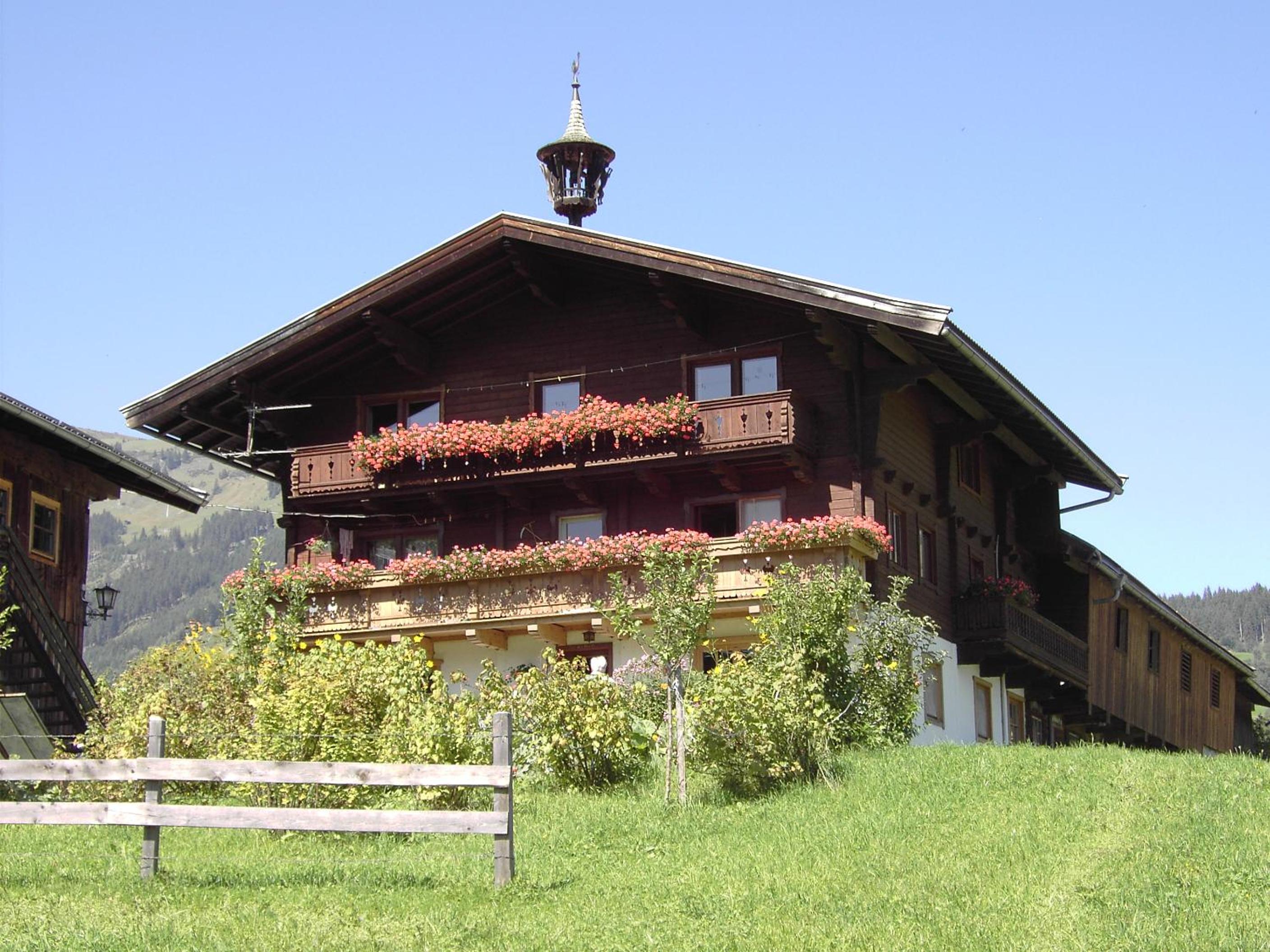 Mitterhaidgut