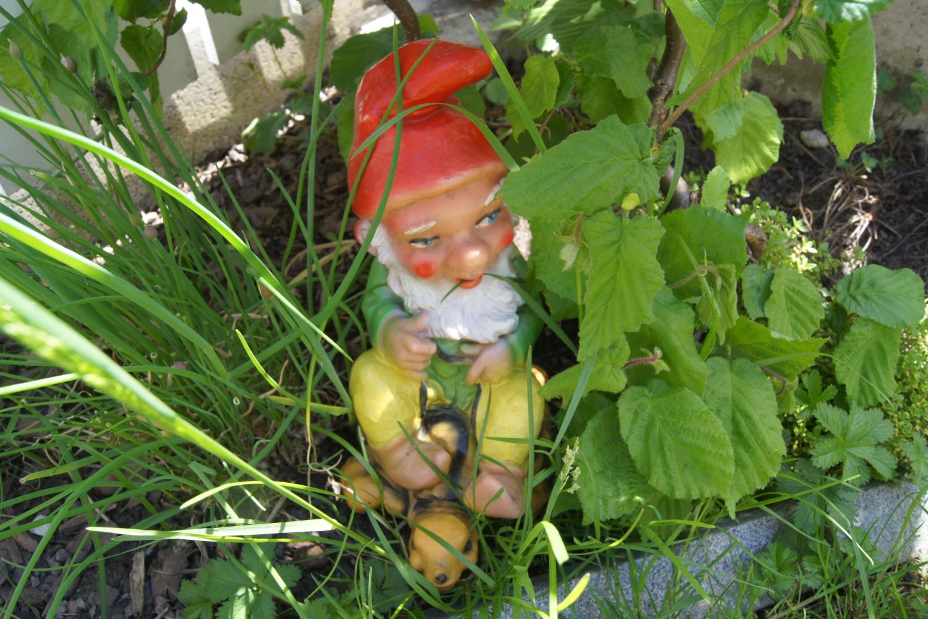 Photo 13