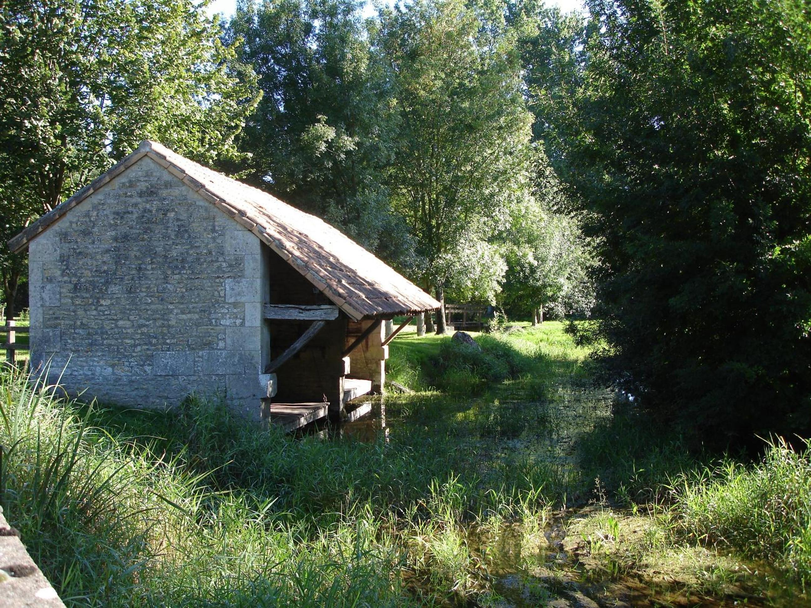 Photo 23