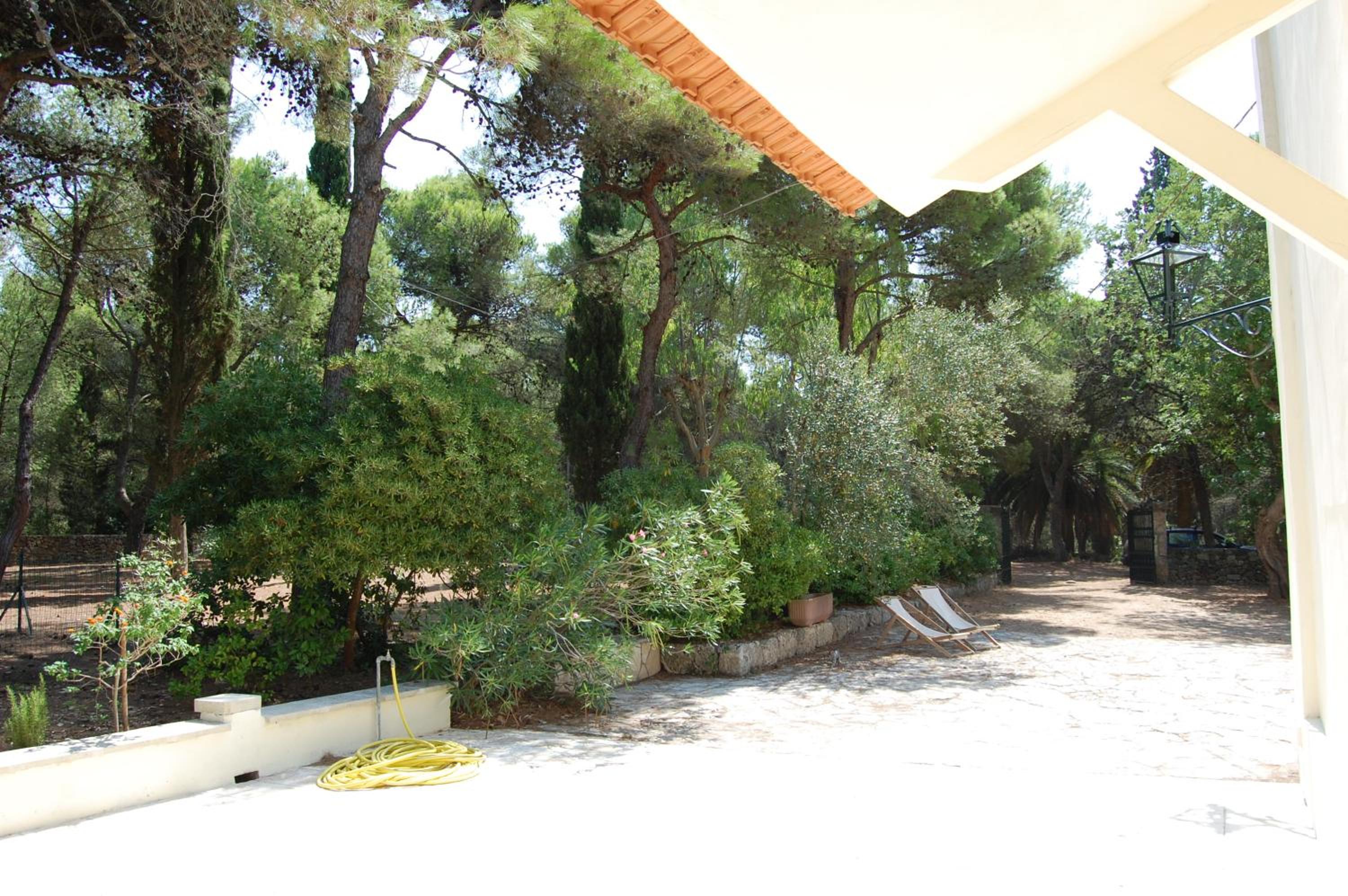 Villa nella Pineta view 4