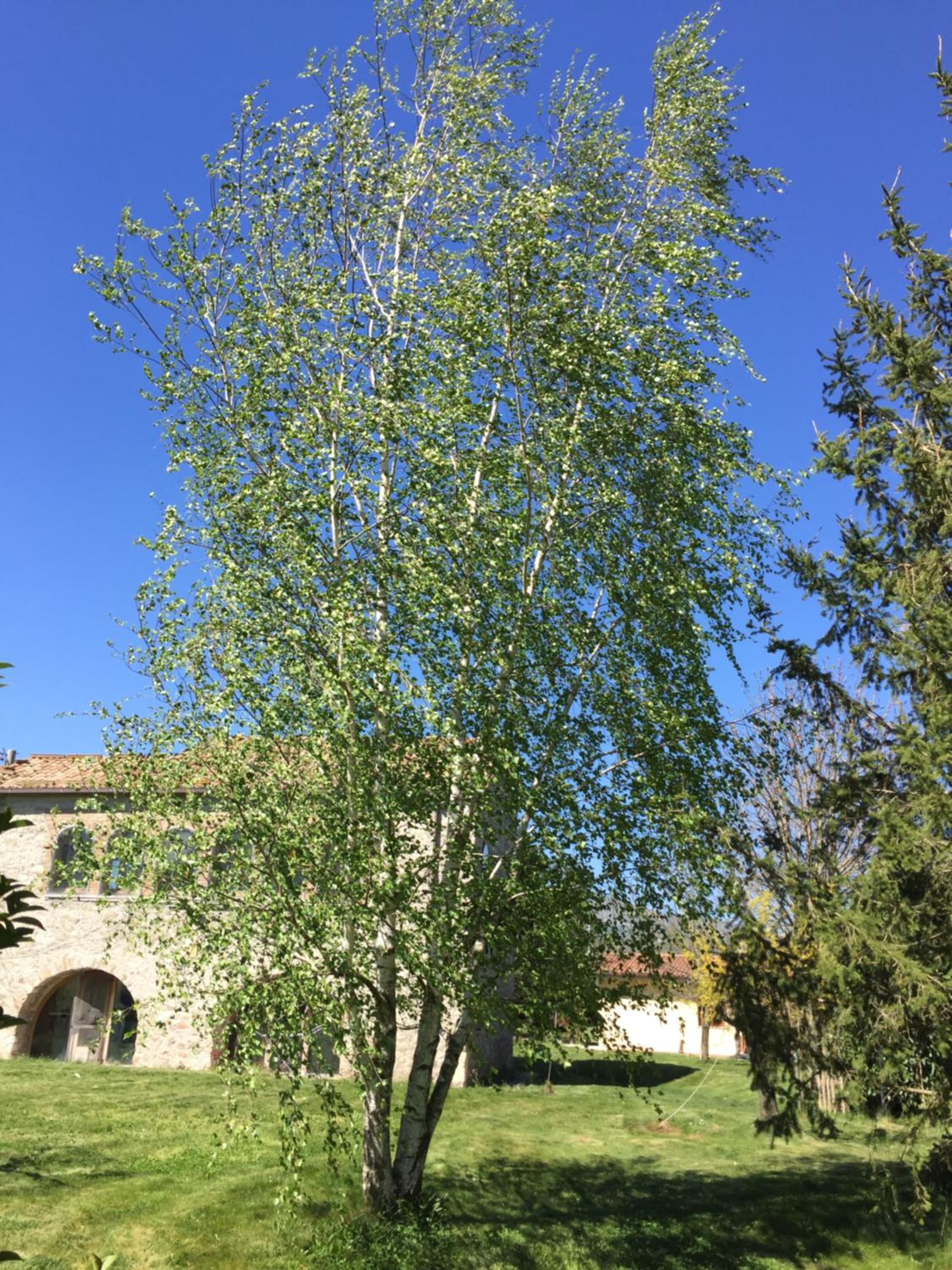 Photo 29