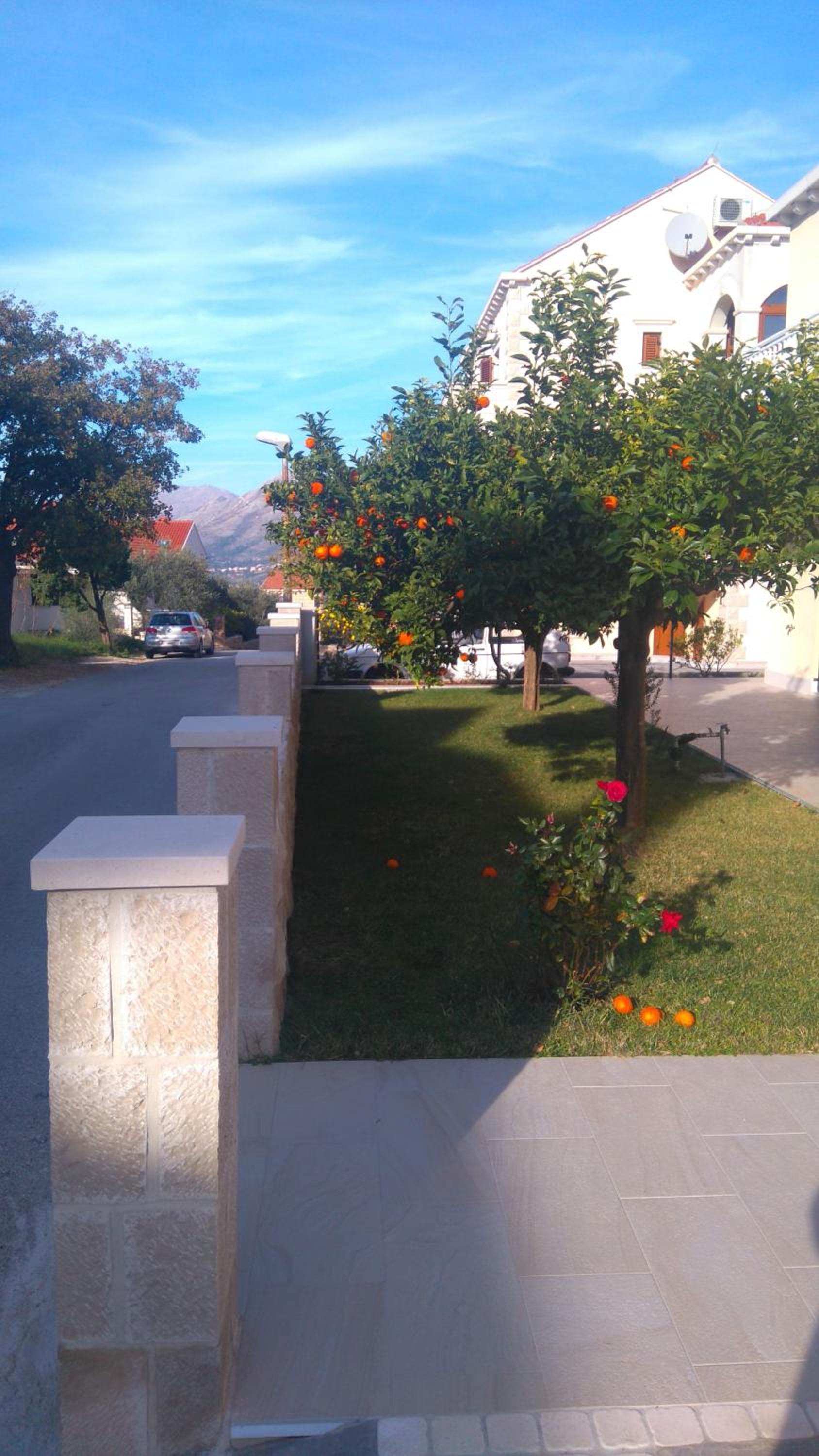 Photo 29