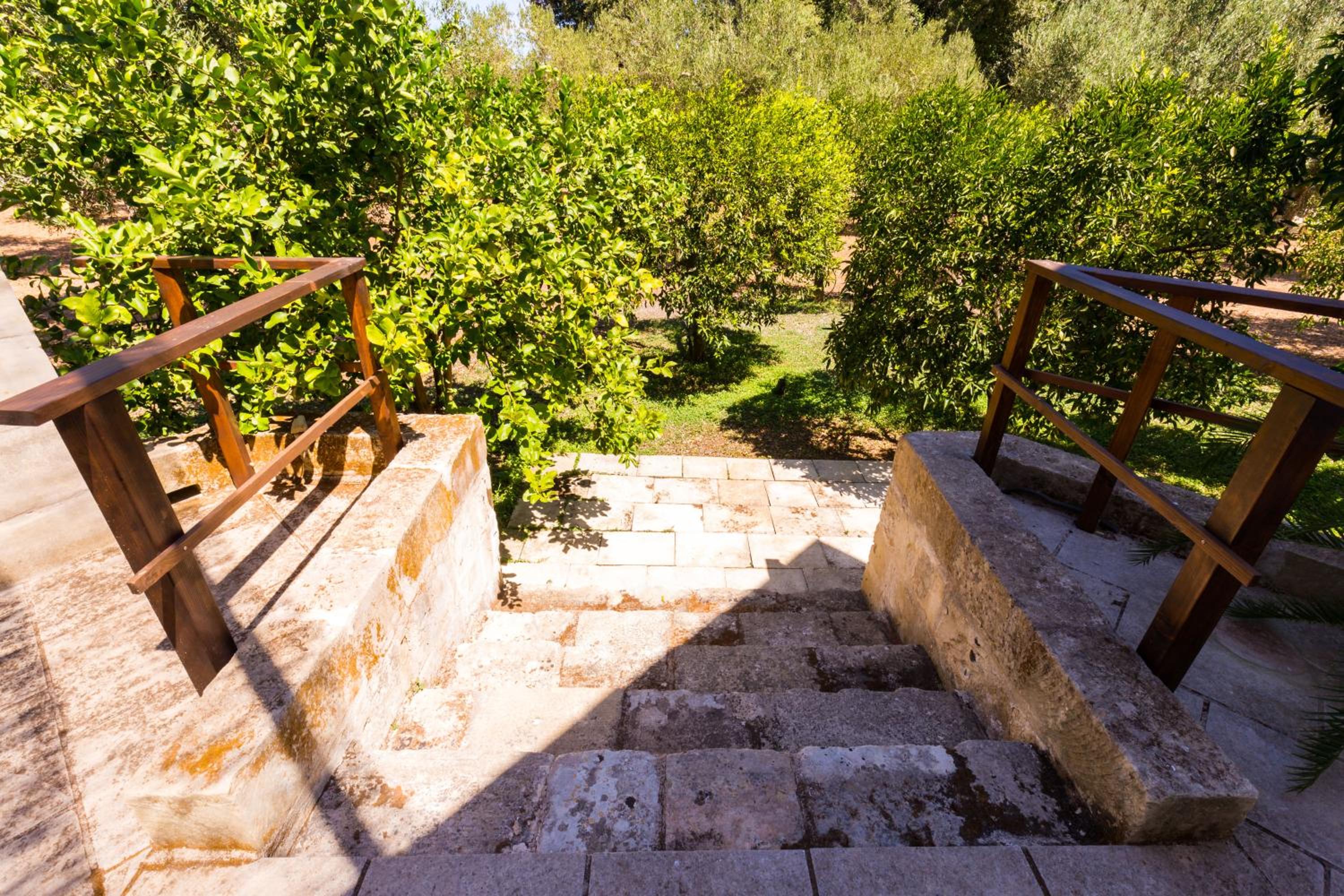 Agriturismo Monte degli Angeli view 5