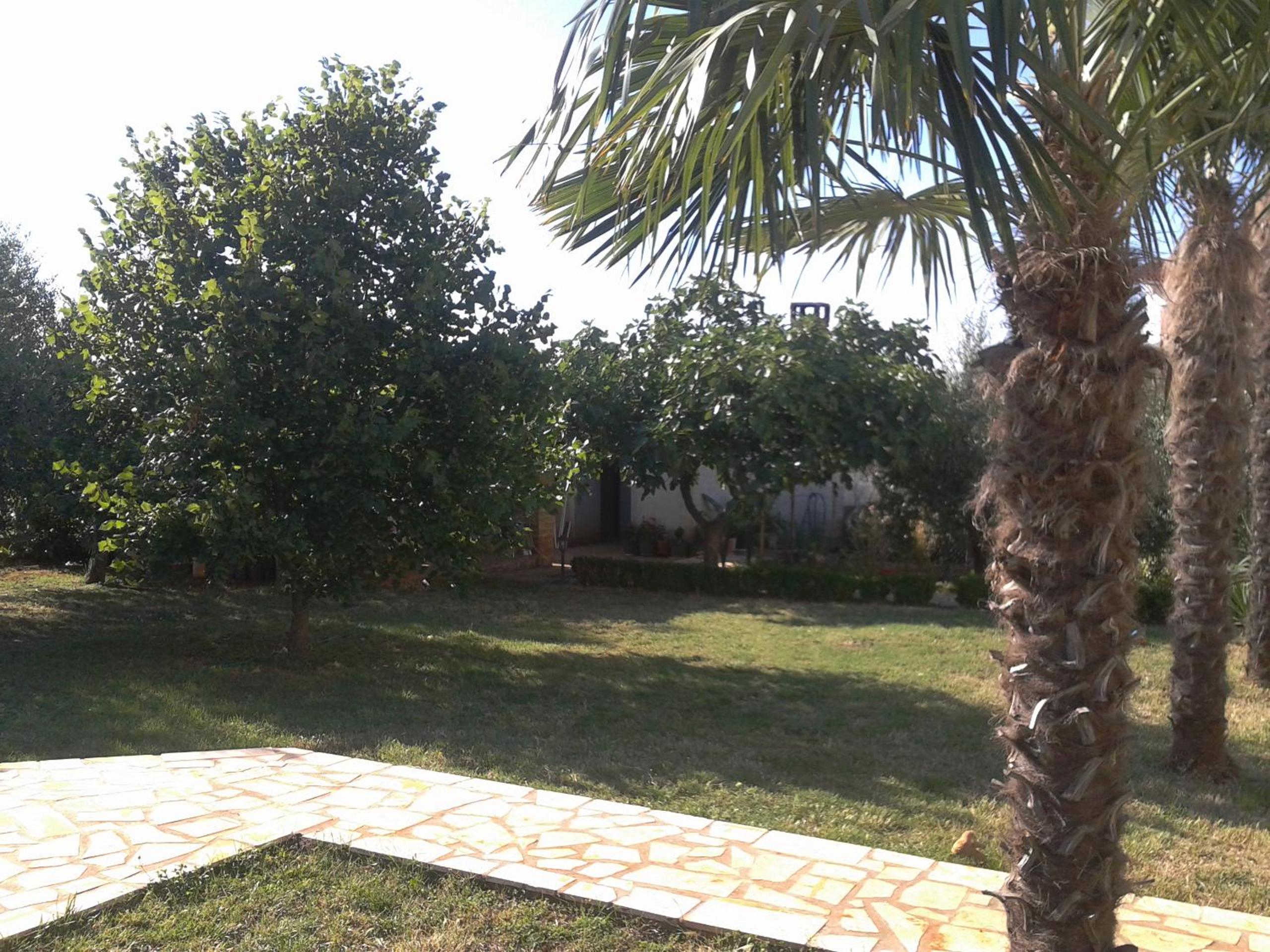 Photo 29