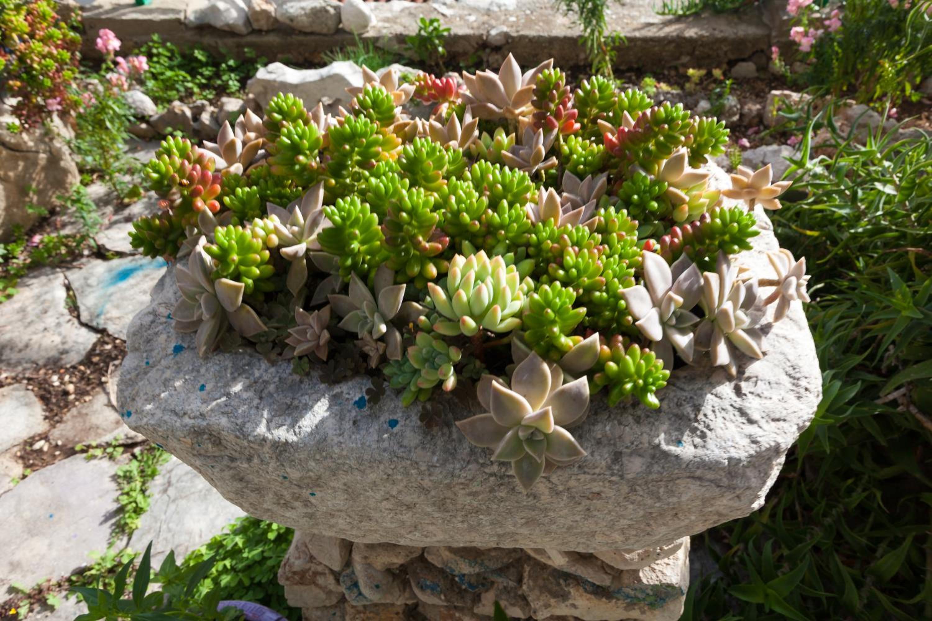 Photo 7