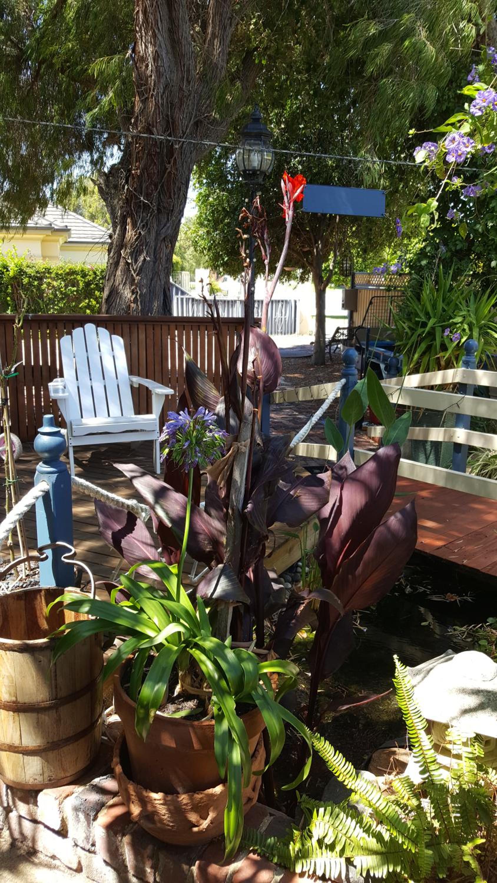 Anchorage Guest House and Self-contained Accommodation