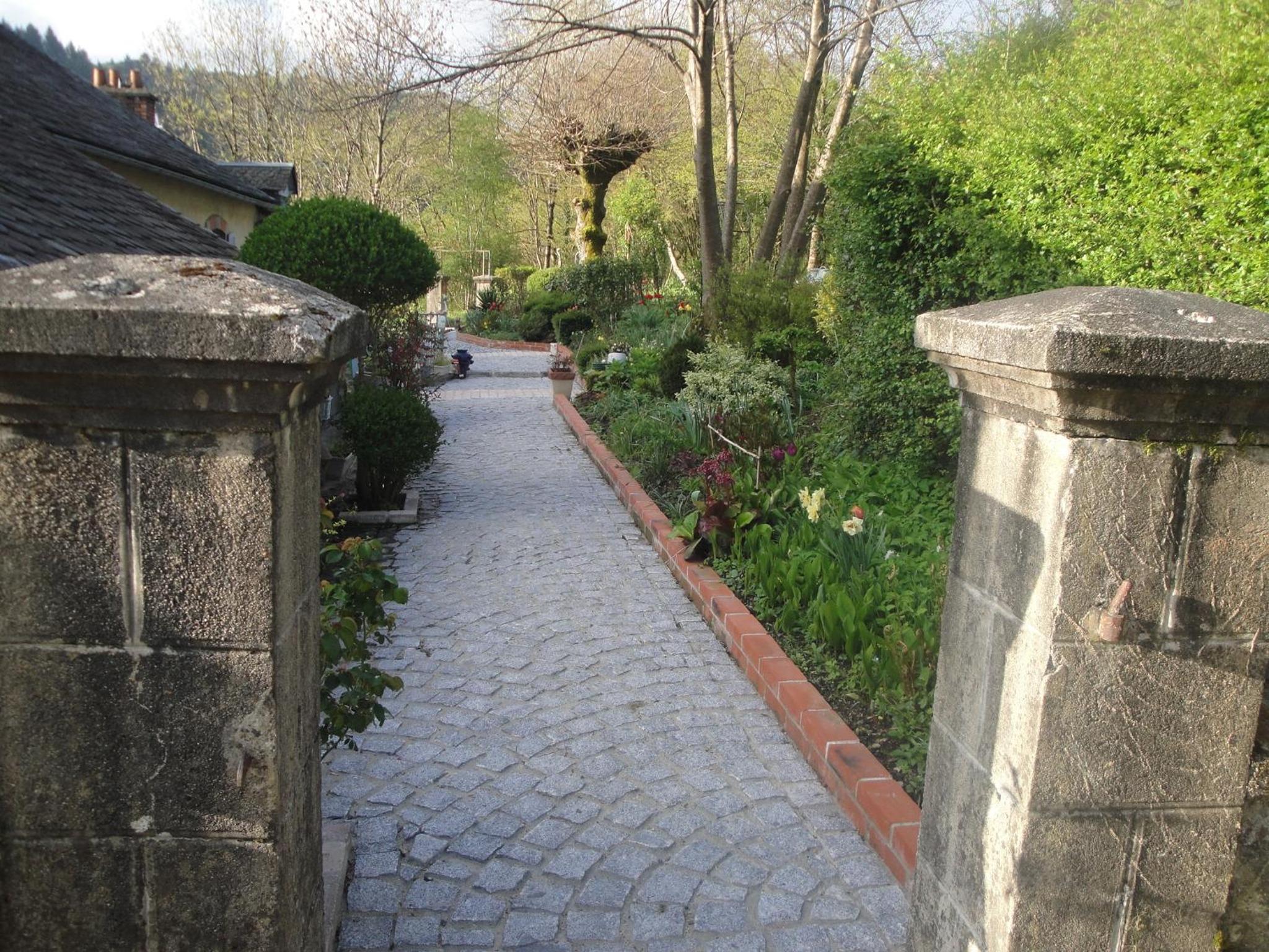 Photo 41