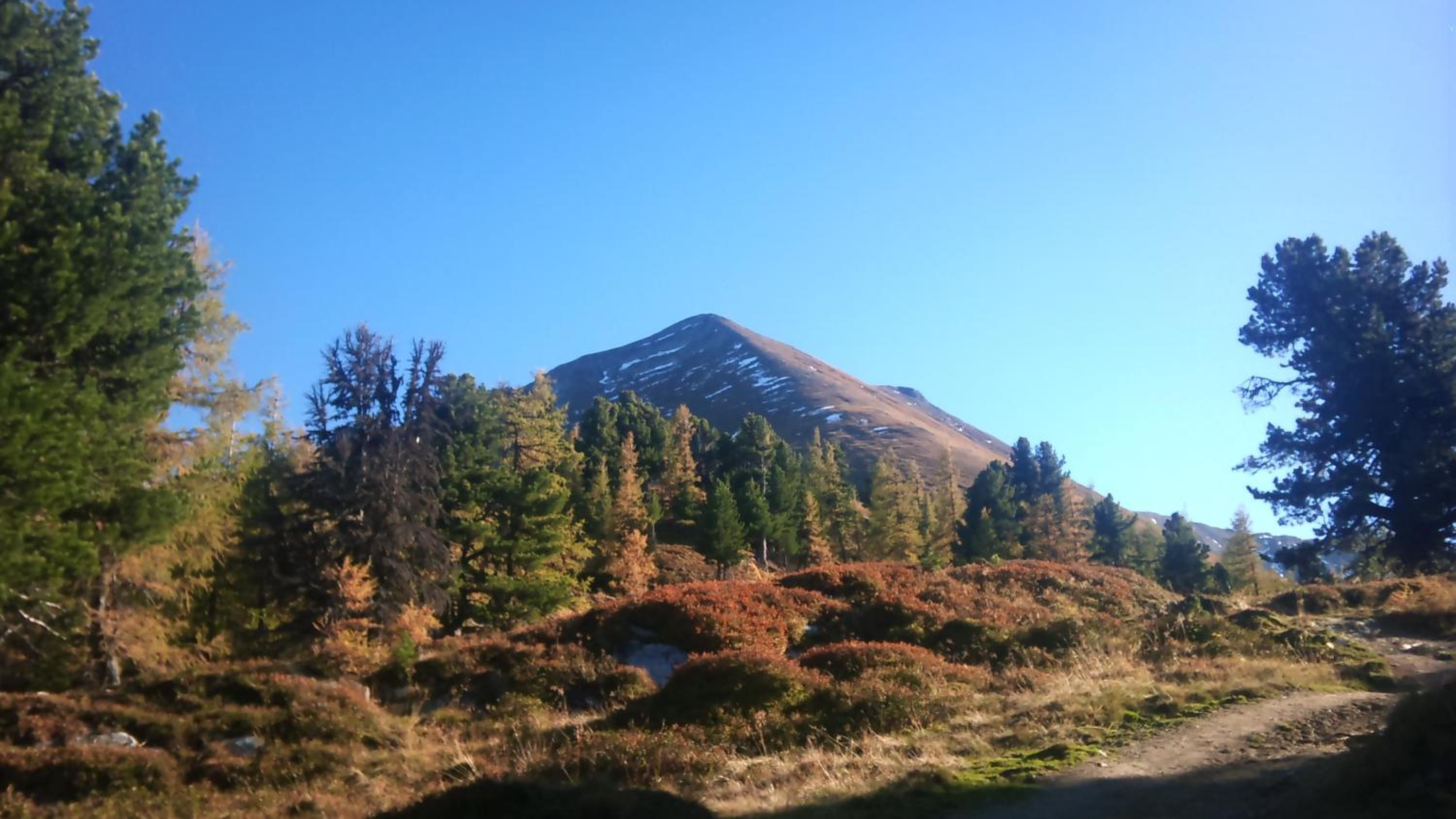 Gratzerhof