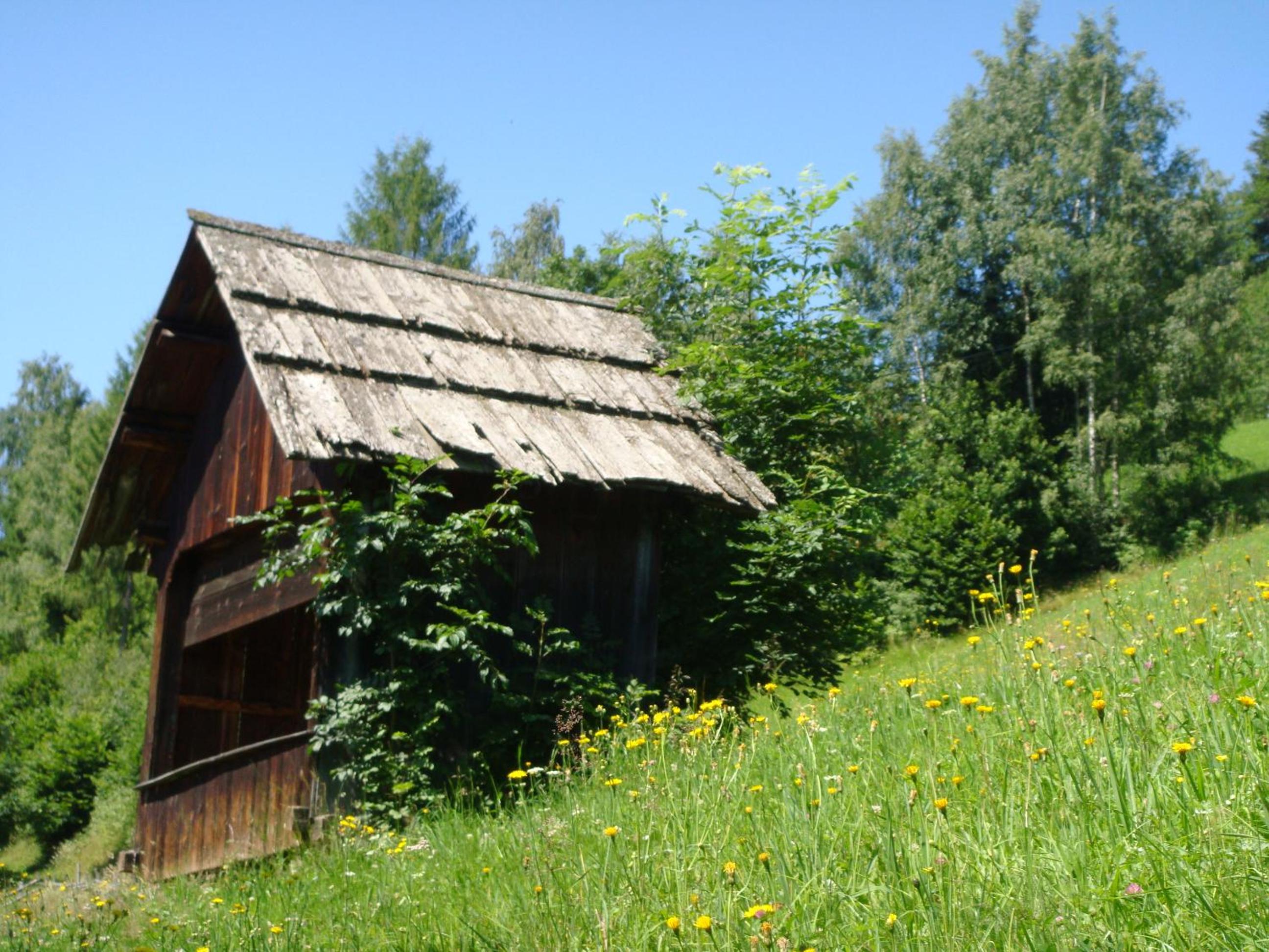 Ferienwohnung Lahnerhof