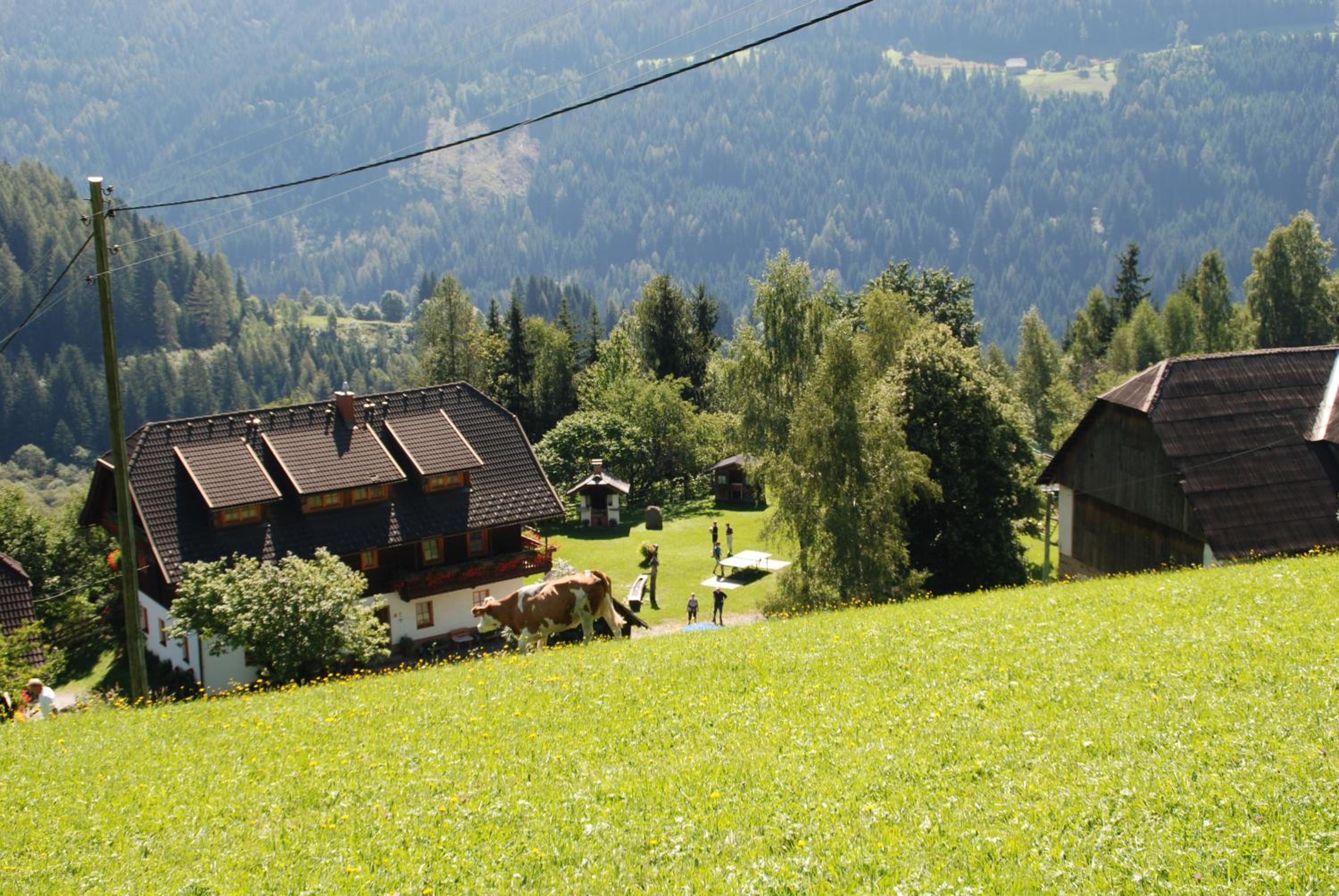 Ferienwohnung Lahnerhof