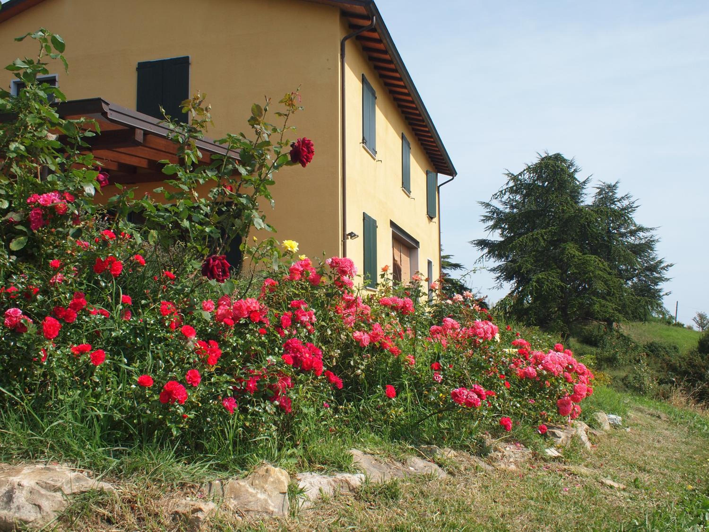 Case Crovina