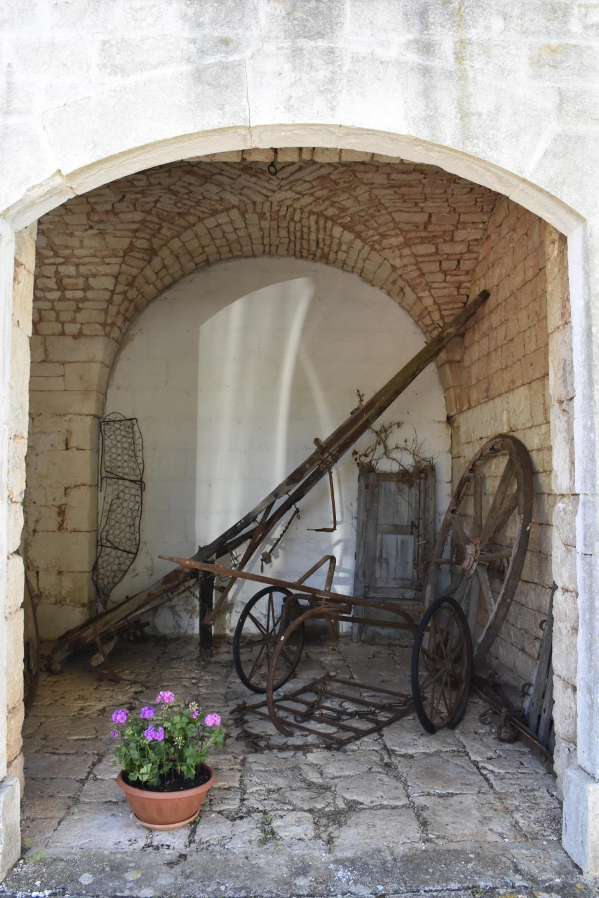 Photo 42