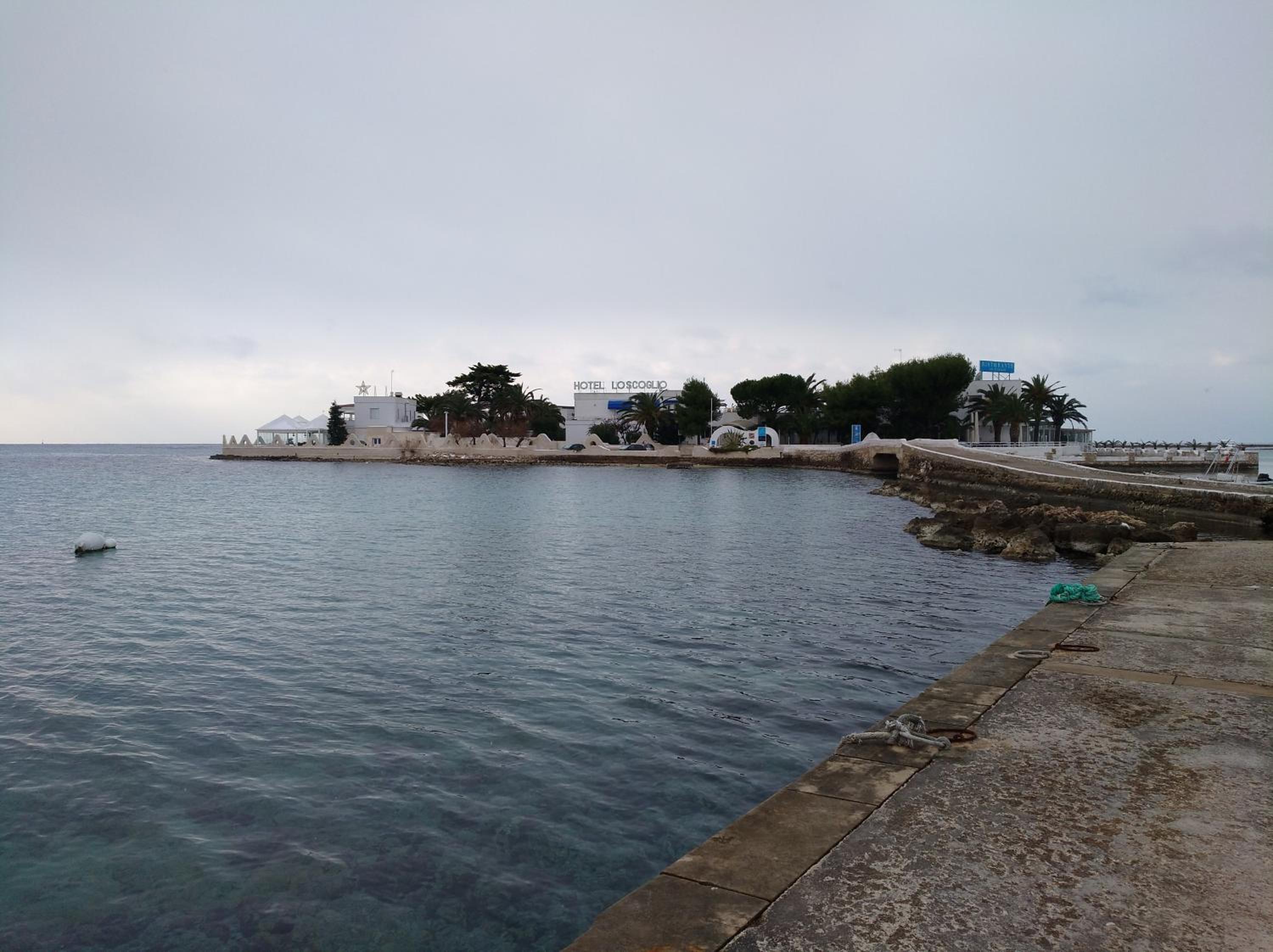 Photo 41