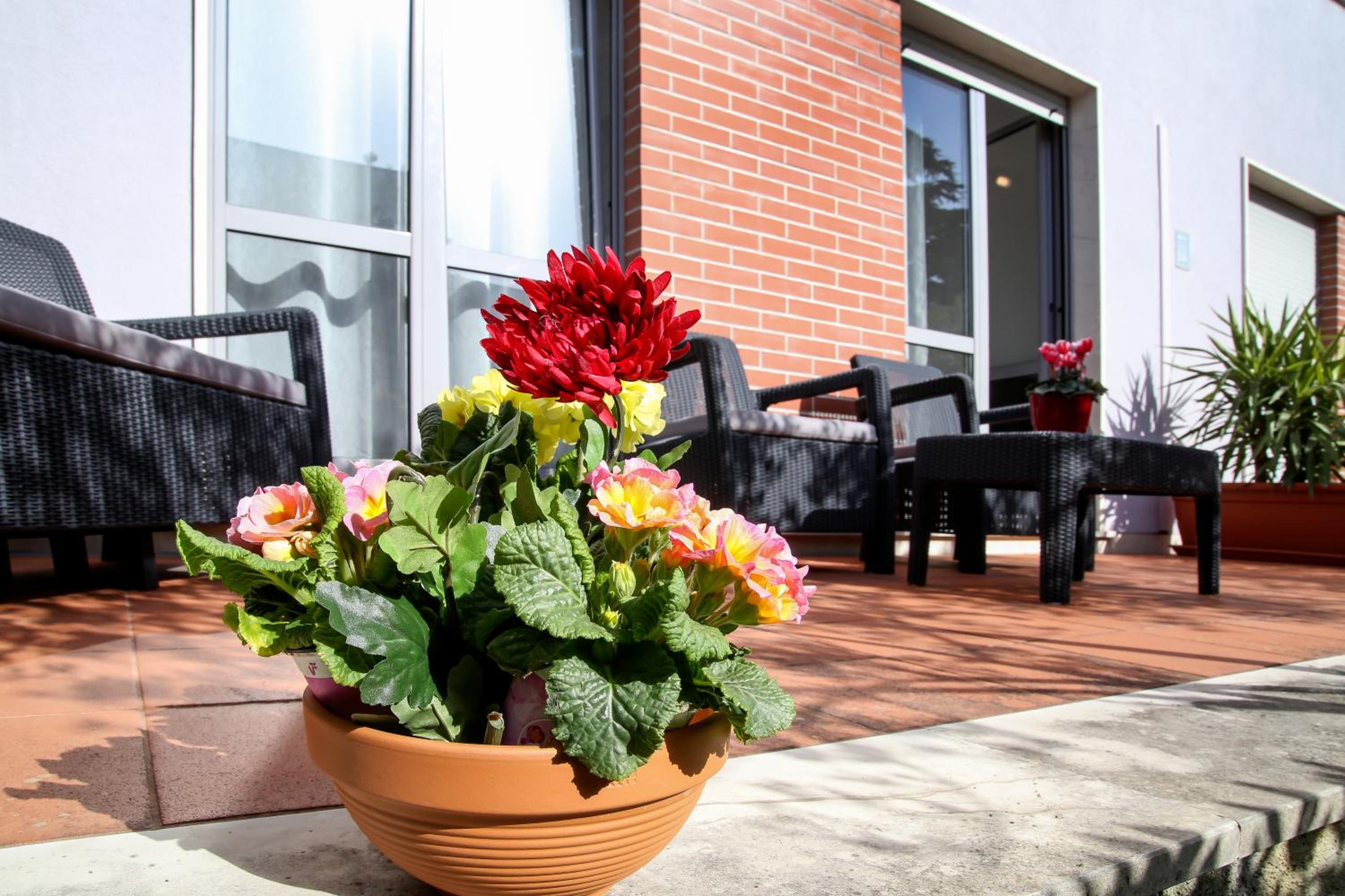 Lavanda Dream Apartment view 3