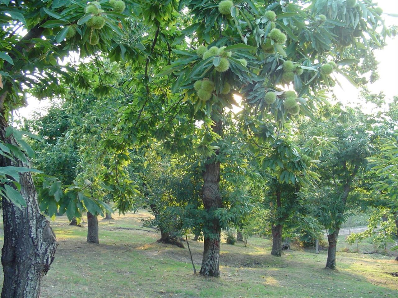 Agriturismo Sorripe view 4