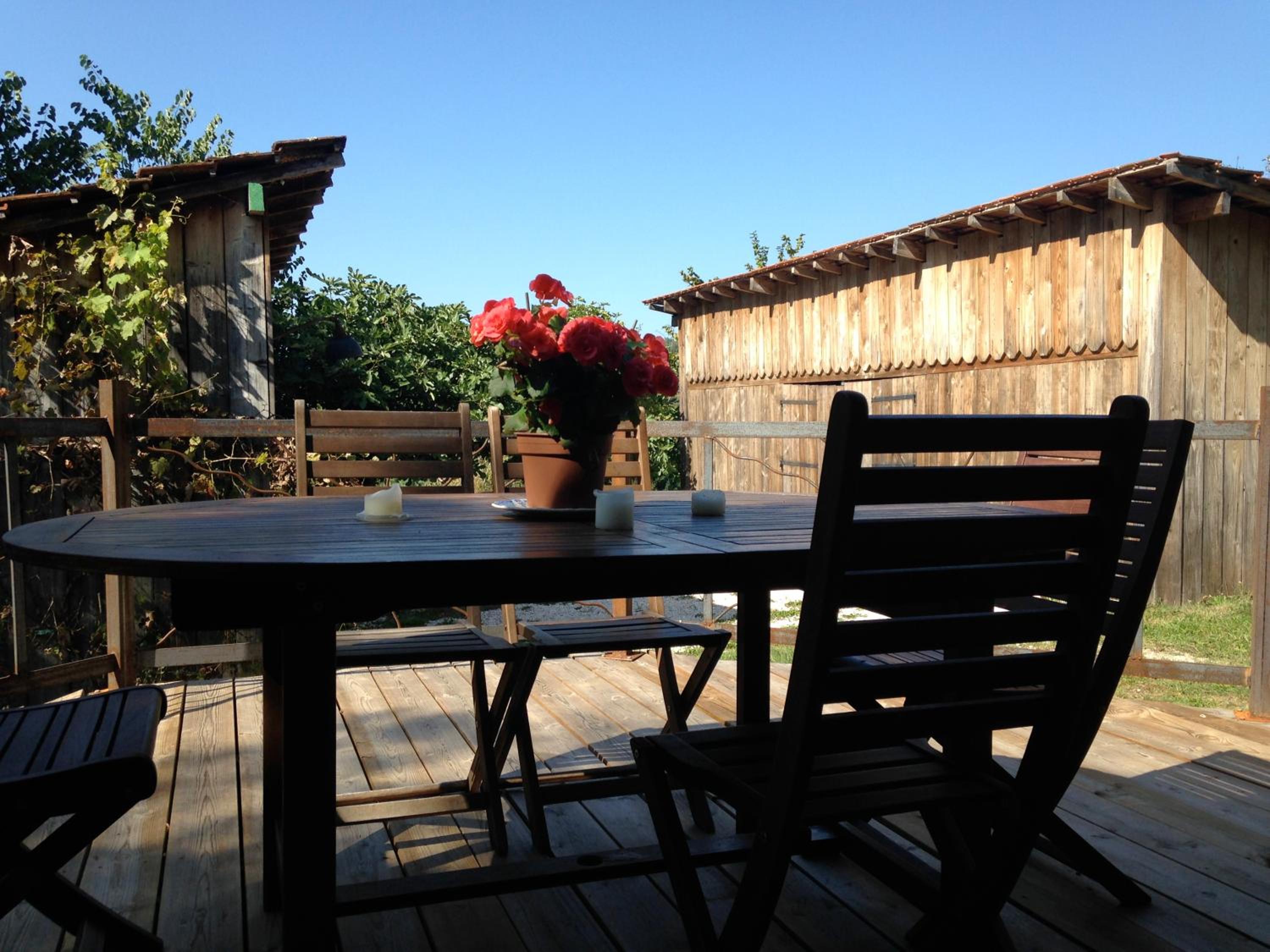 Photo 13