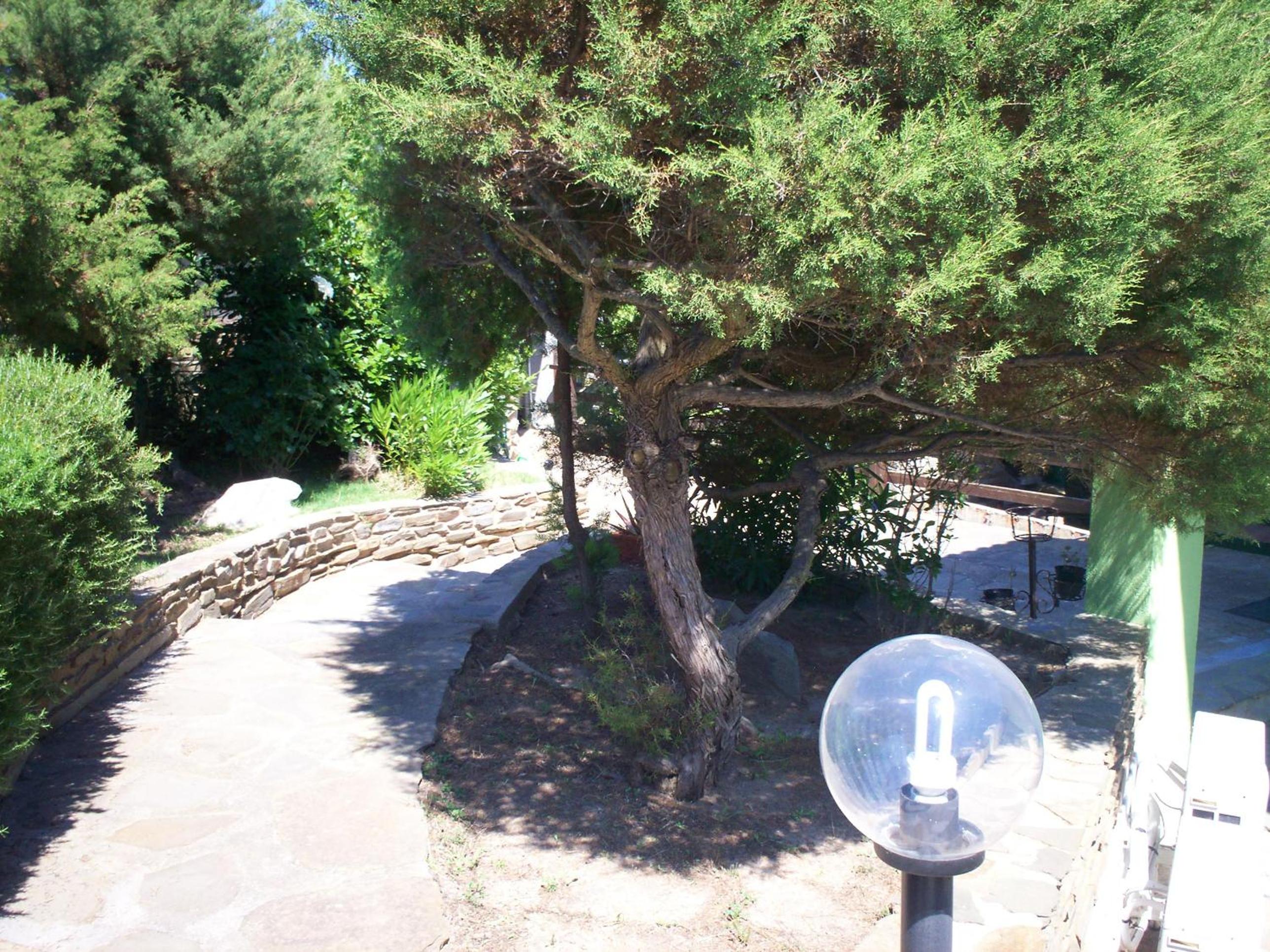 La Dea Madre photo 3