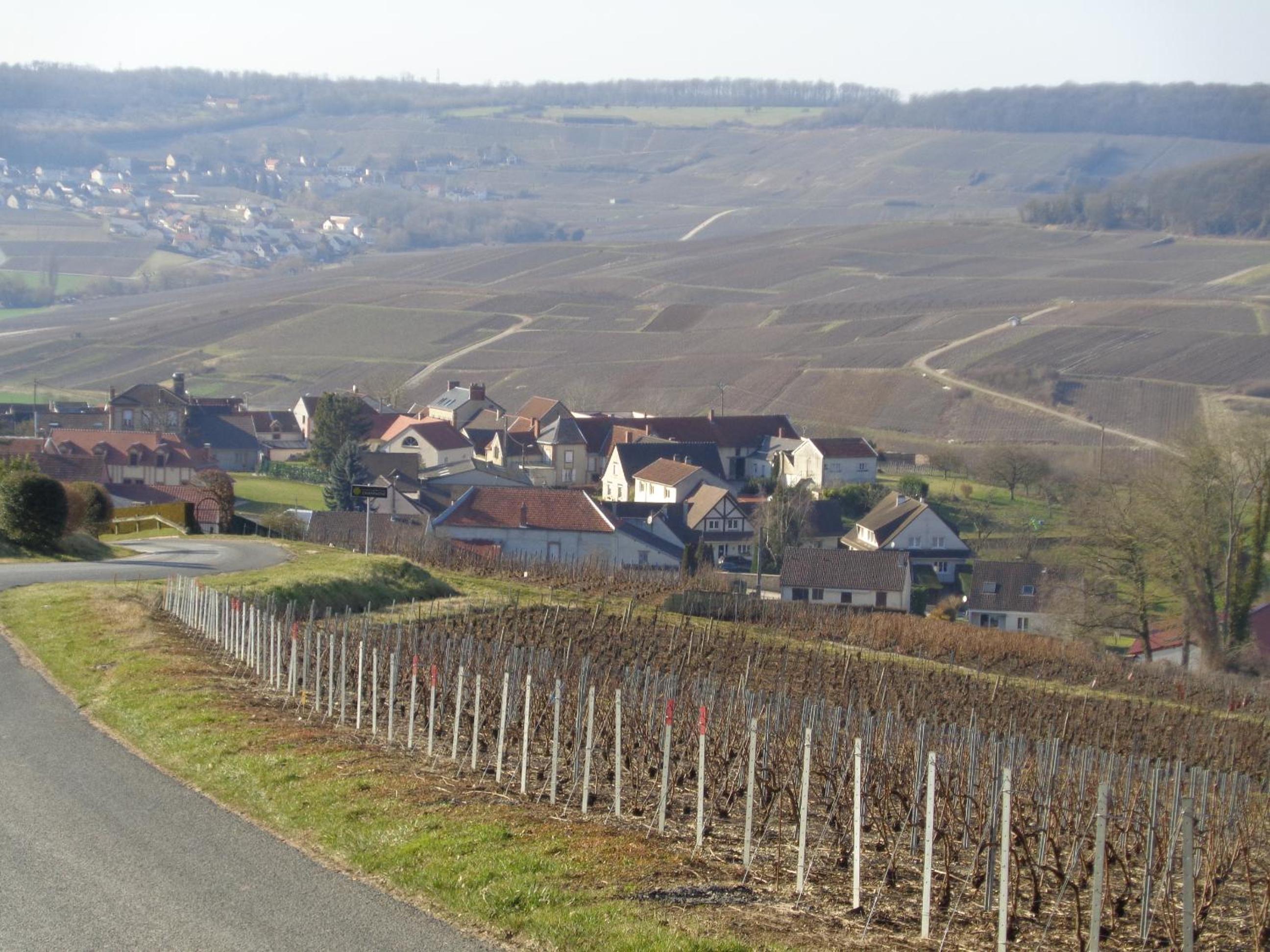 Le Saint Vincent