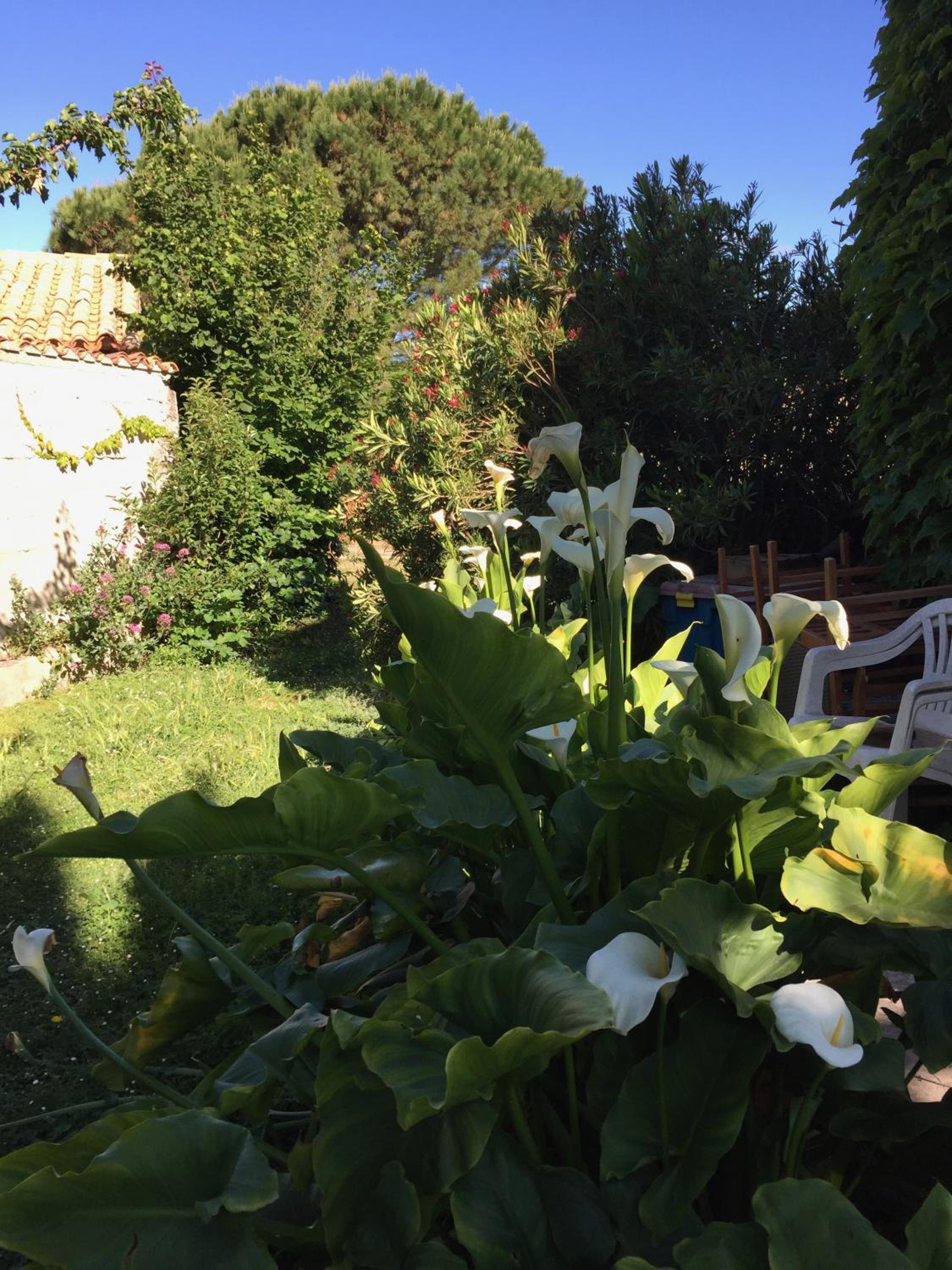 Chez Marydidou : Chambres d'hôtes