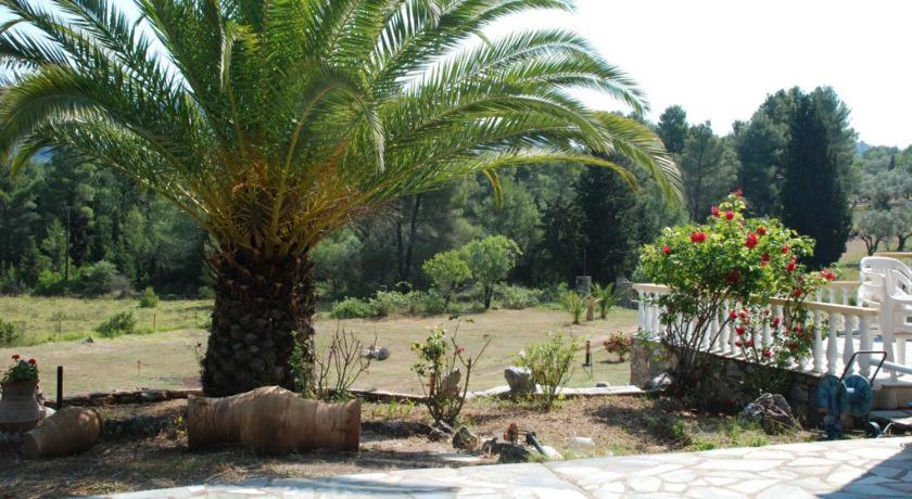 Panormos Palace photo 4