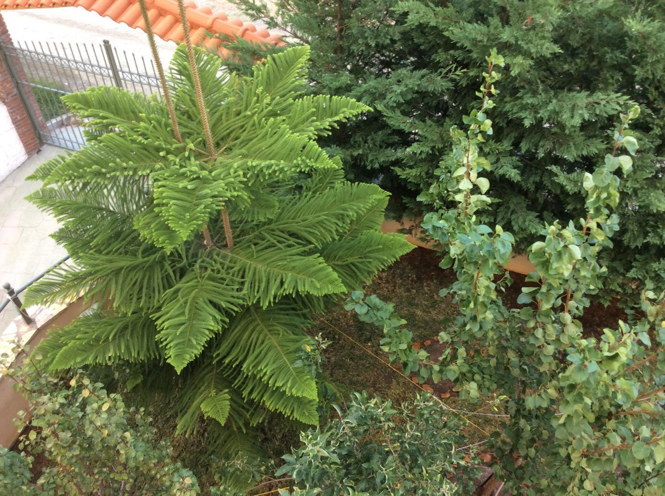 Photo 35