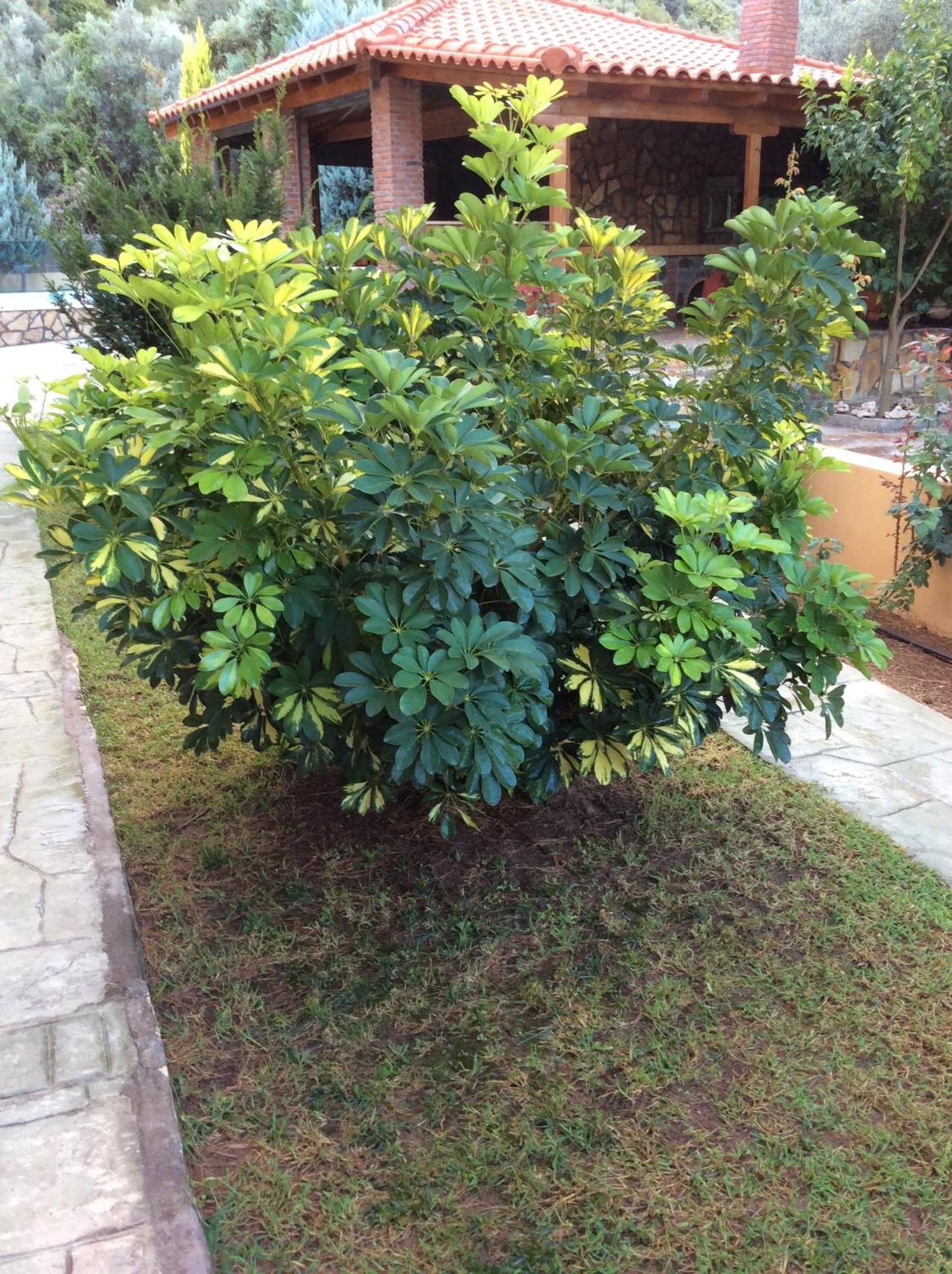 Photo 47