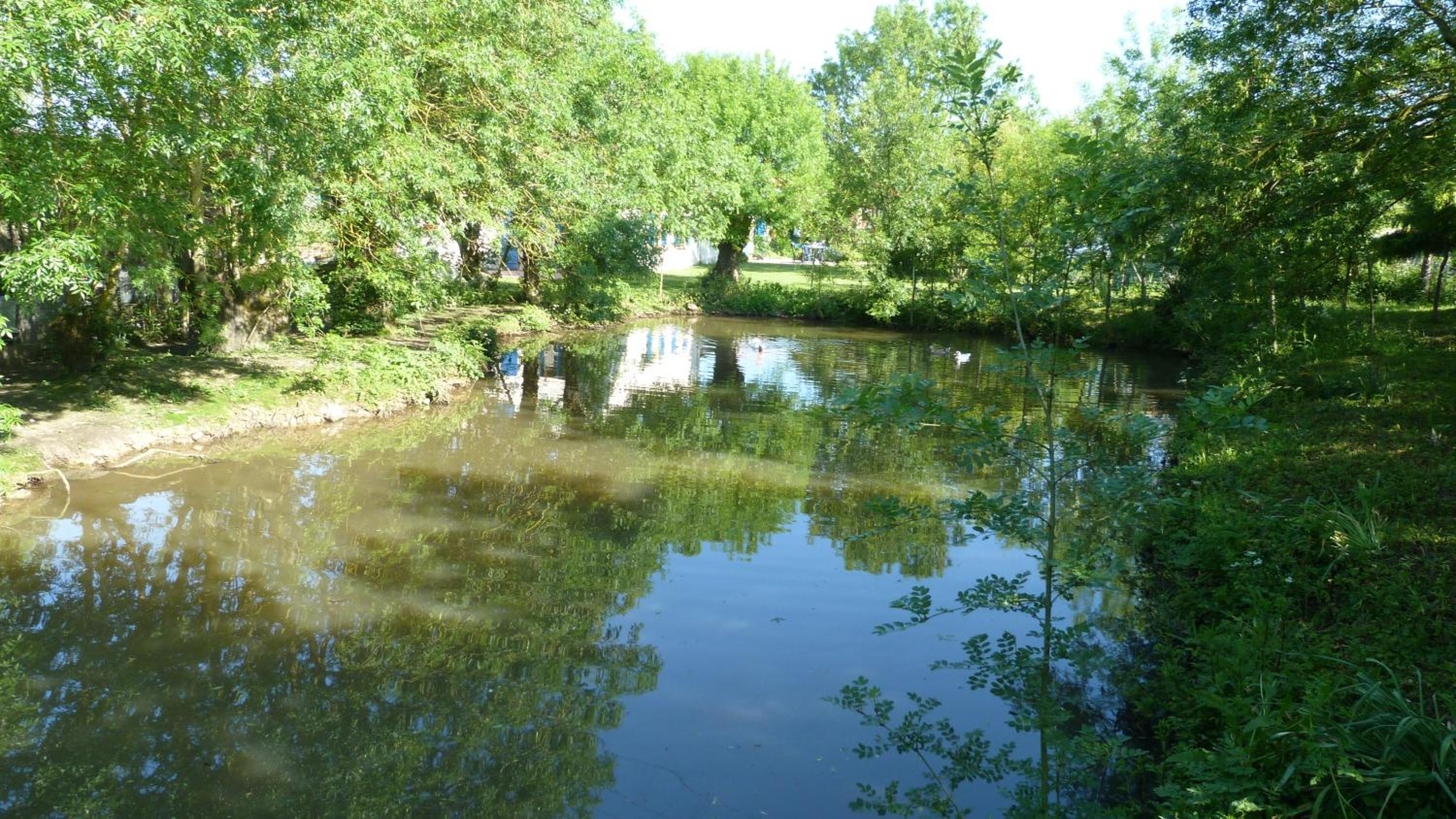 Photo 13