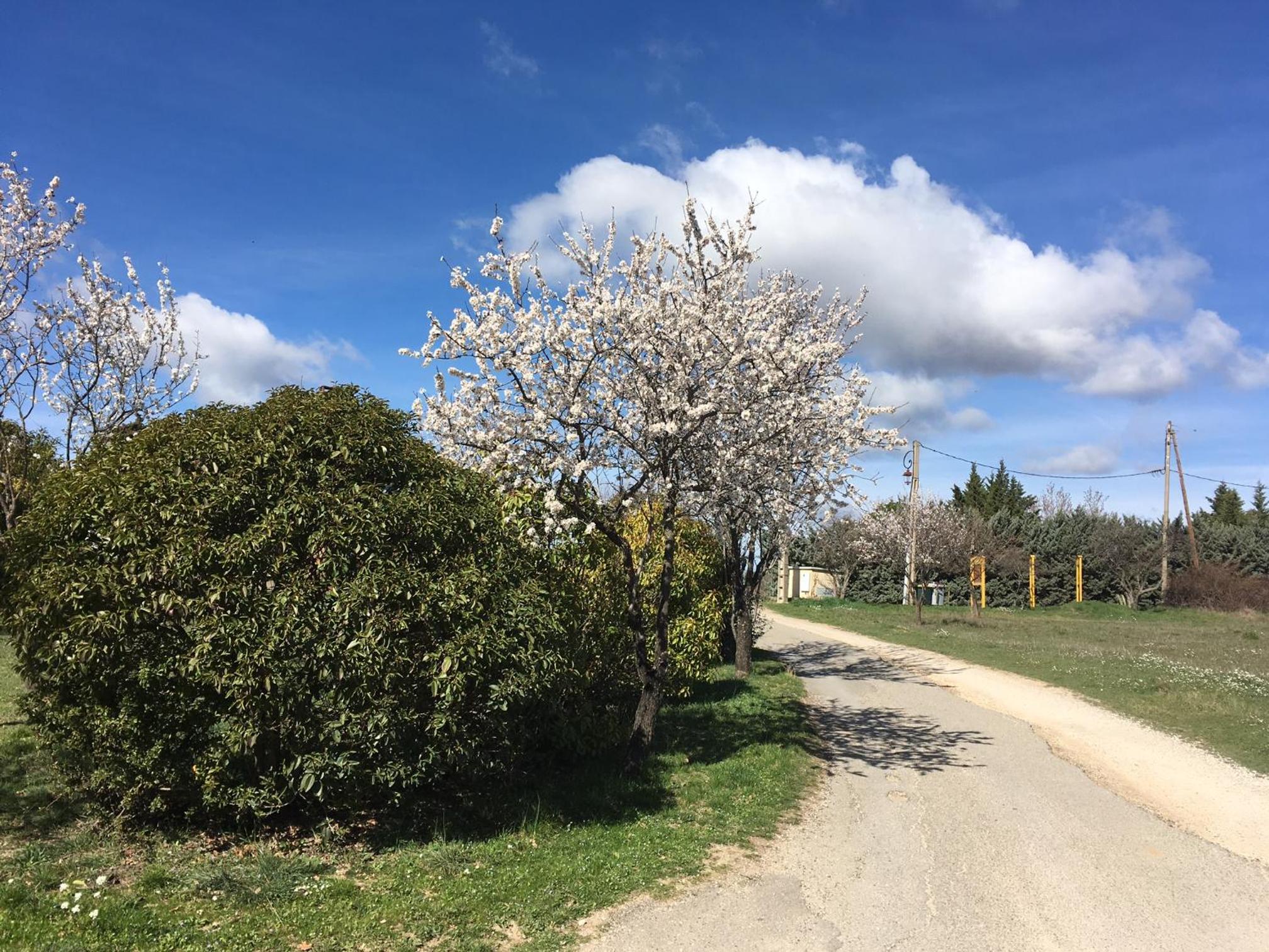 Photo 38