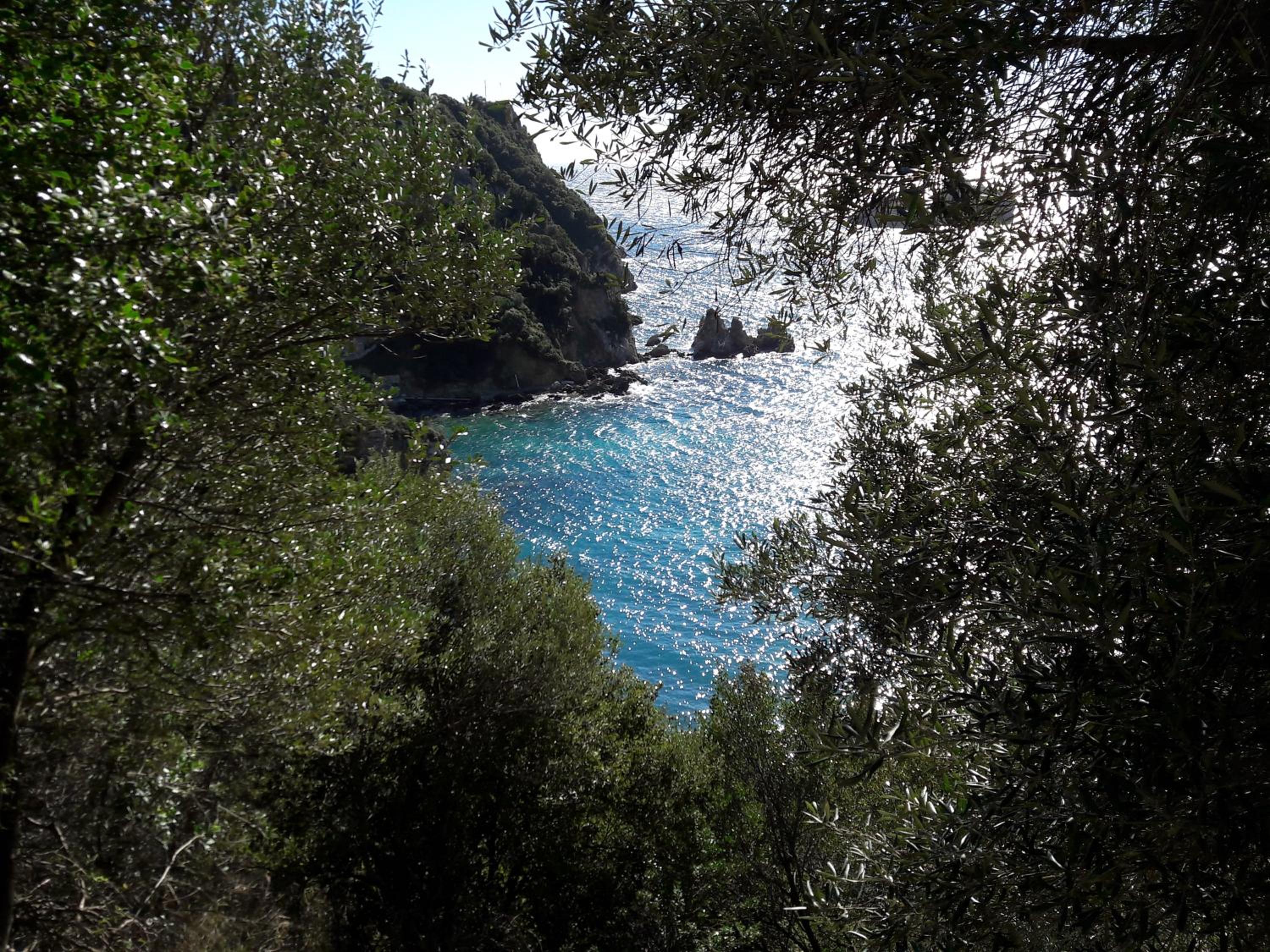 Photo 44