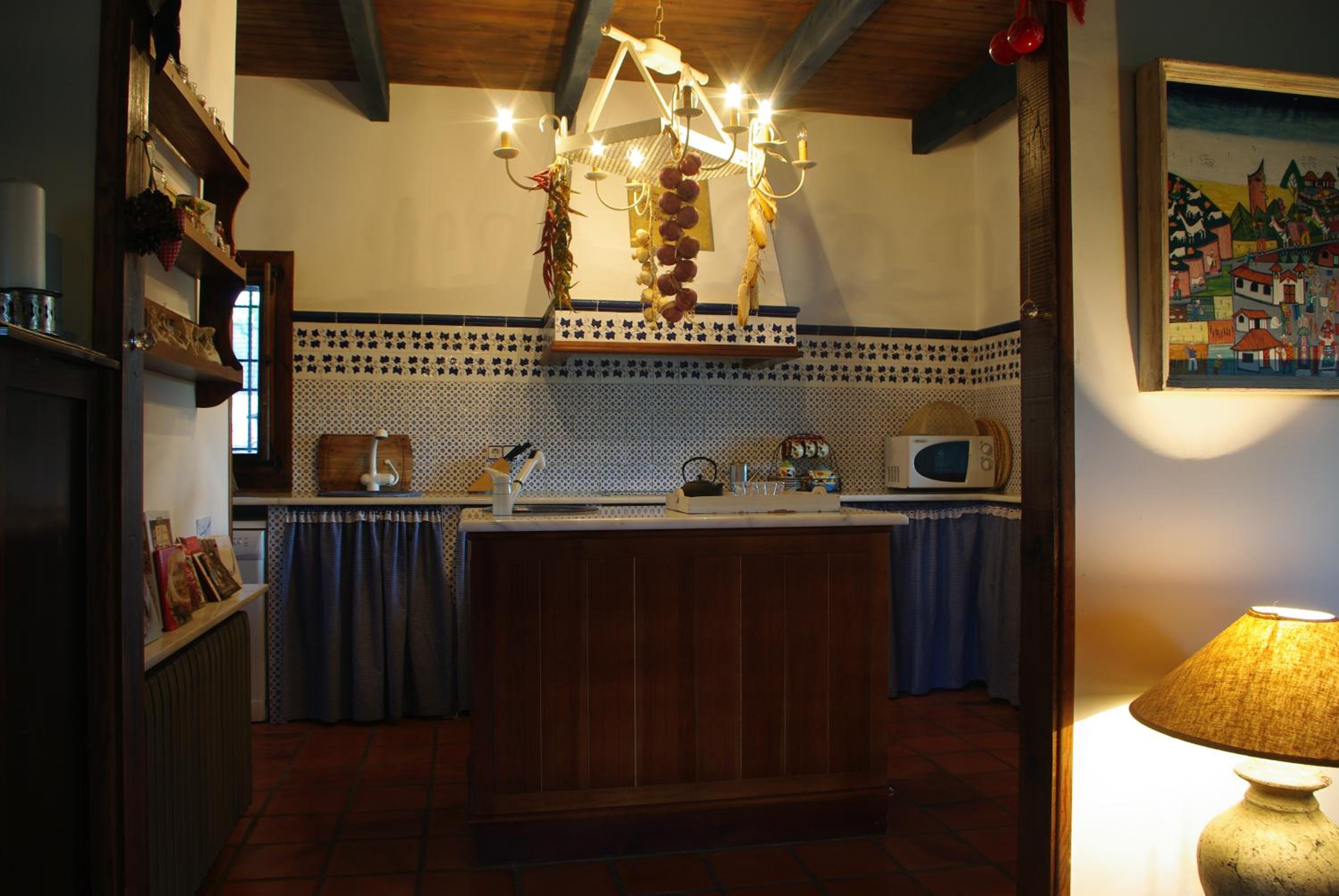 Saint Bernard photo 3