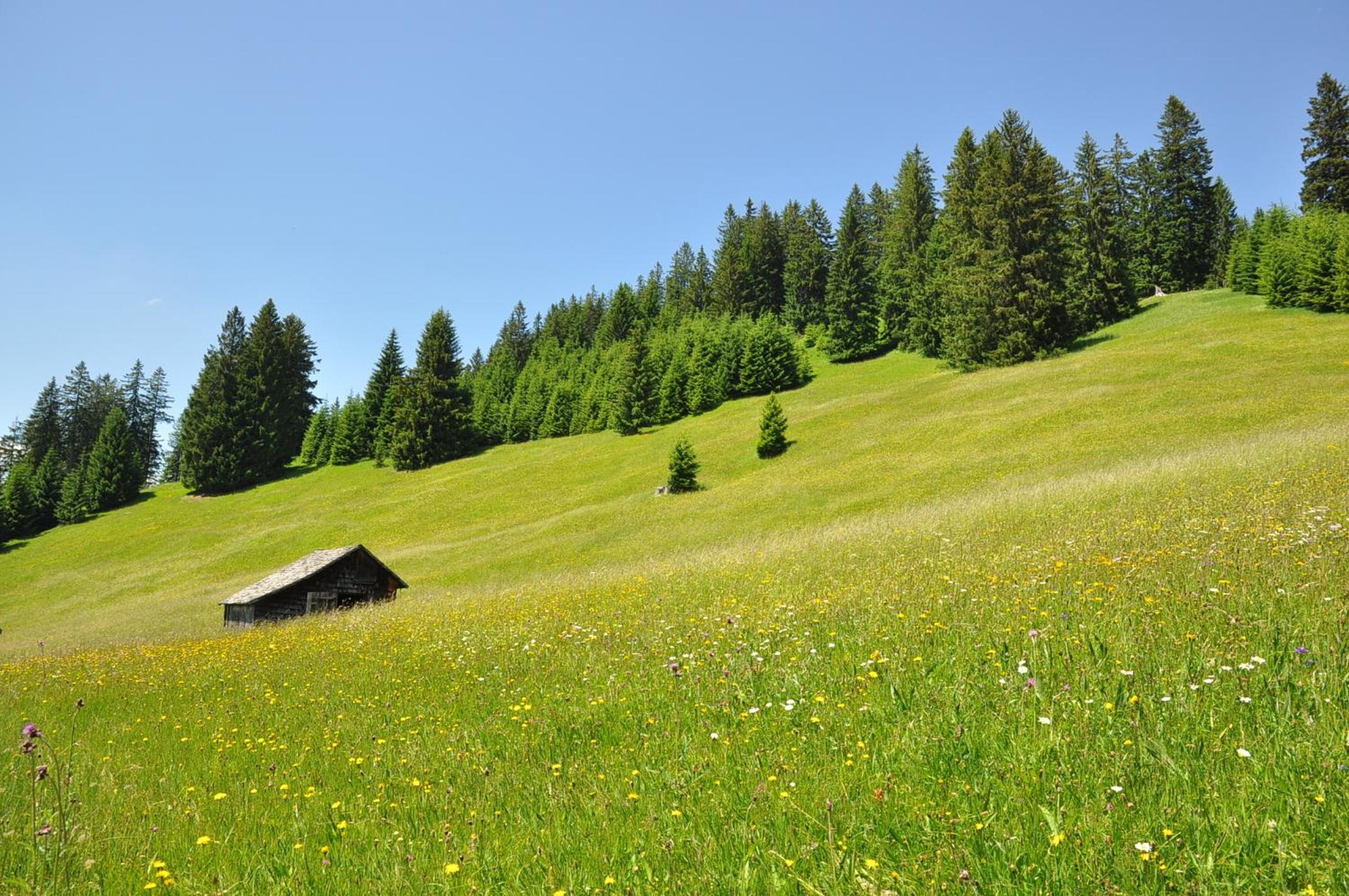Landhaus Alpensonne