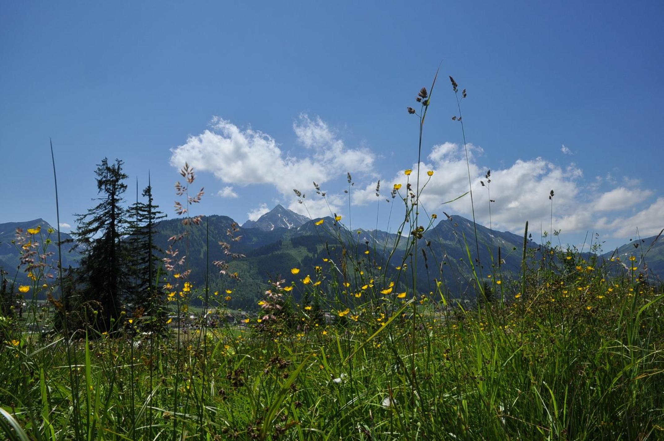 Landhaus Alpensonne