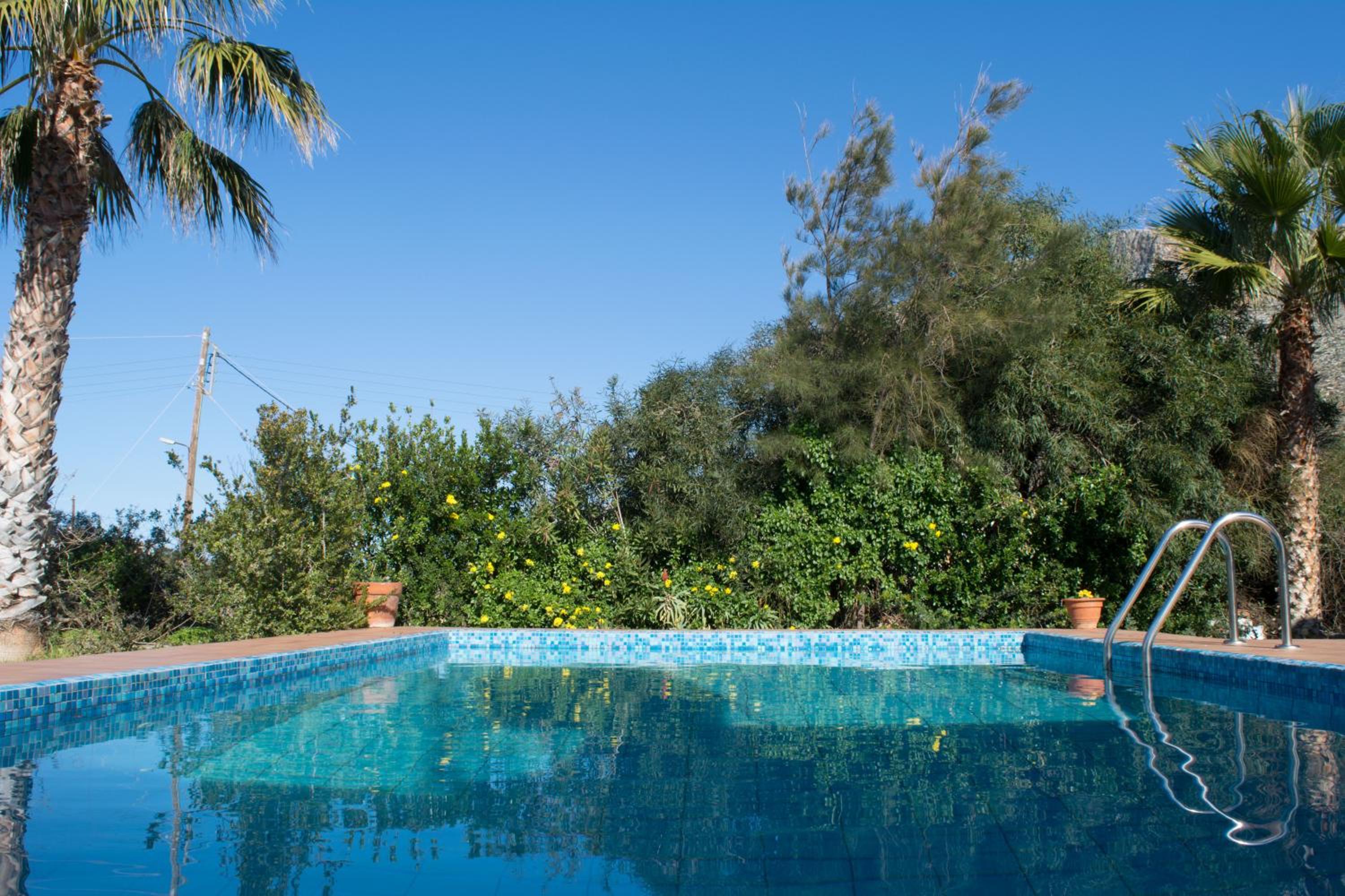 Felia Villa — photo 5