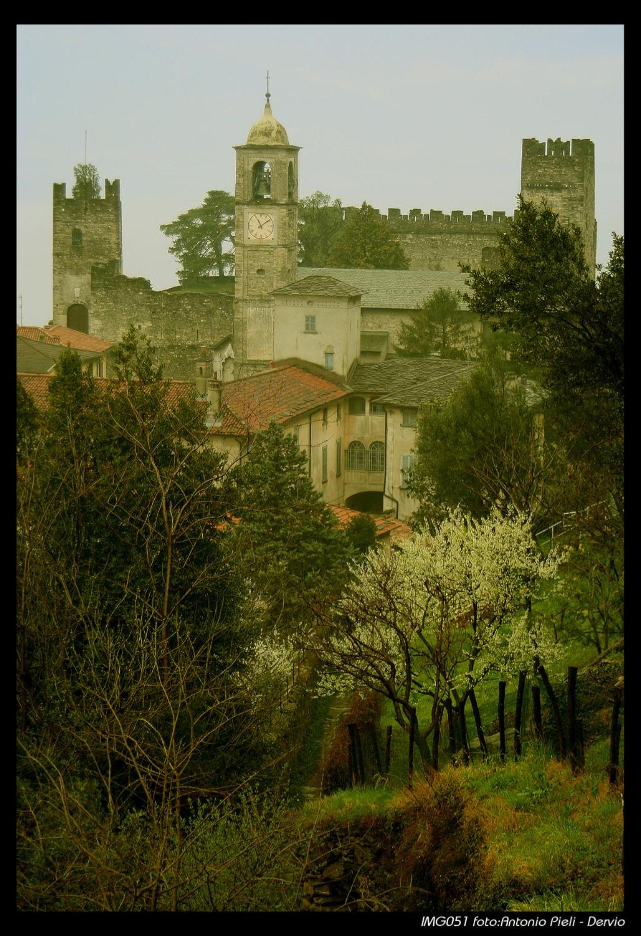 Photo 40