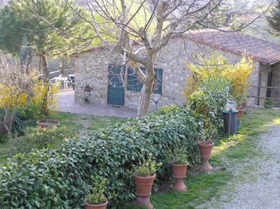 Photo 40