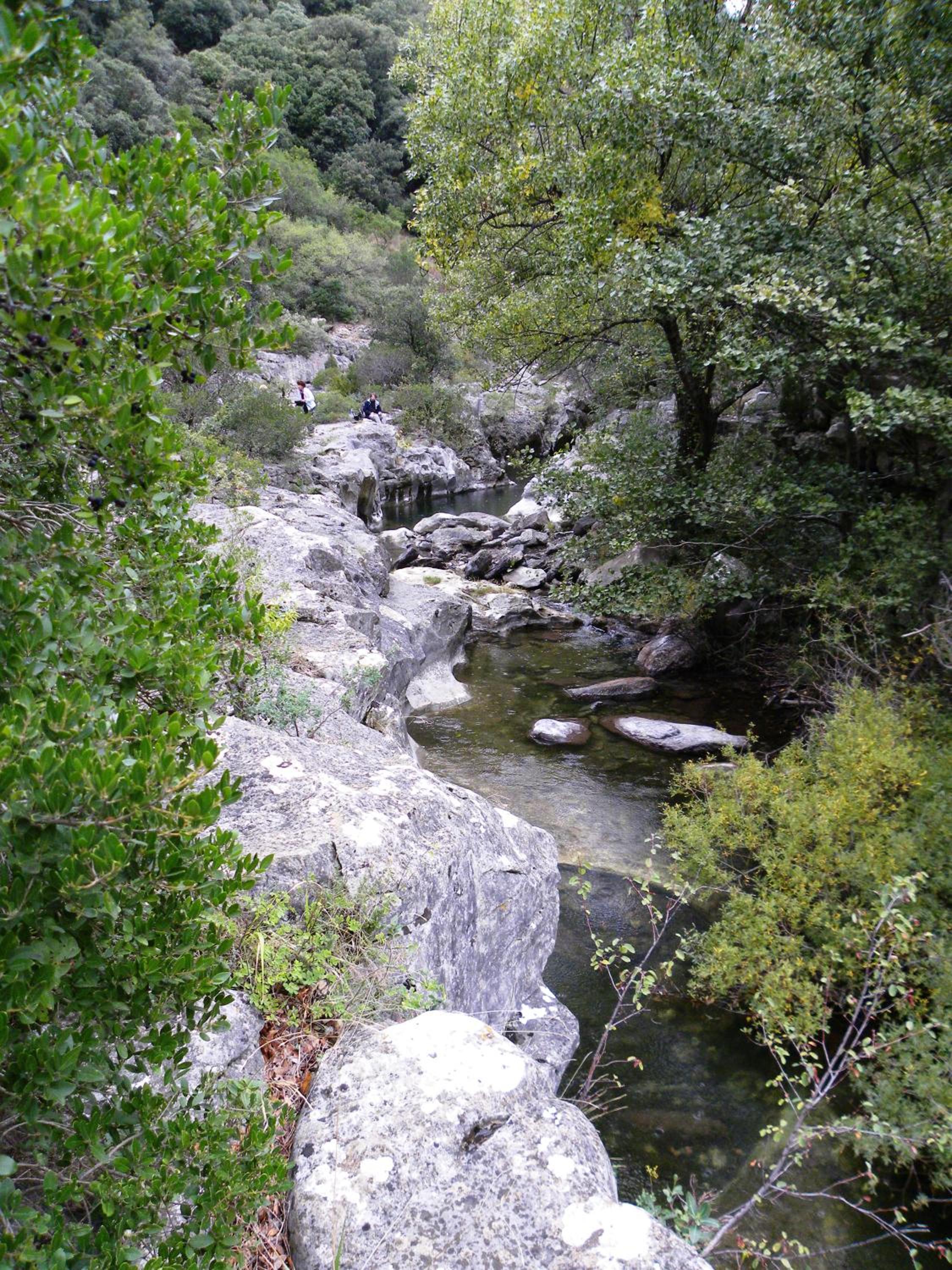 Photo 8
