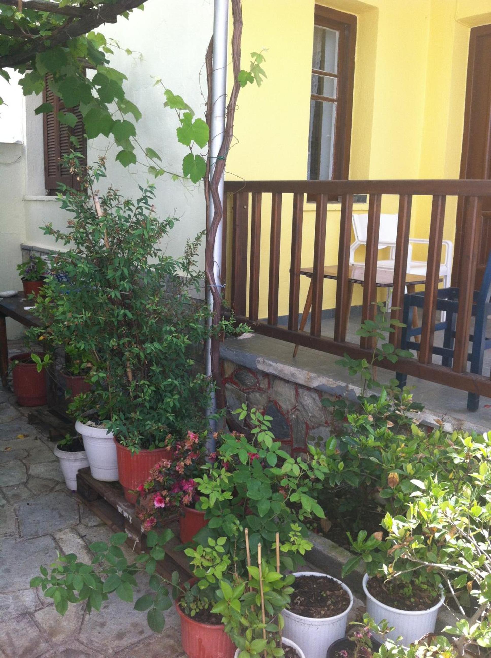 Photo 18