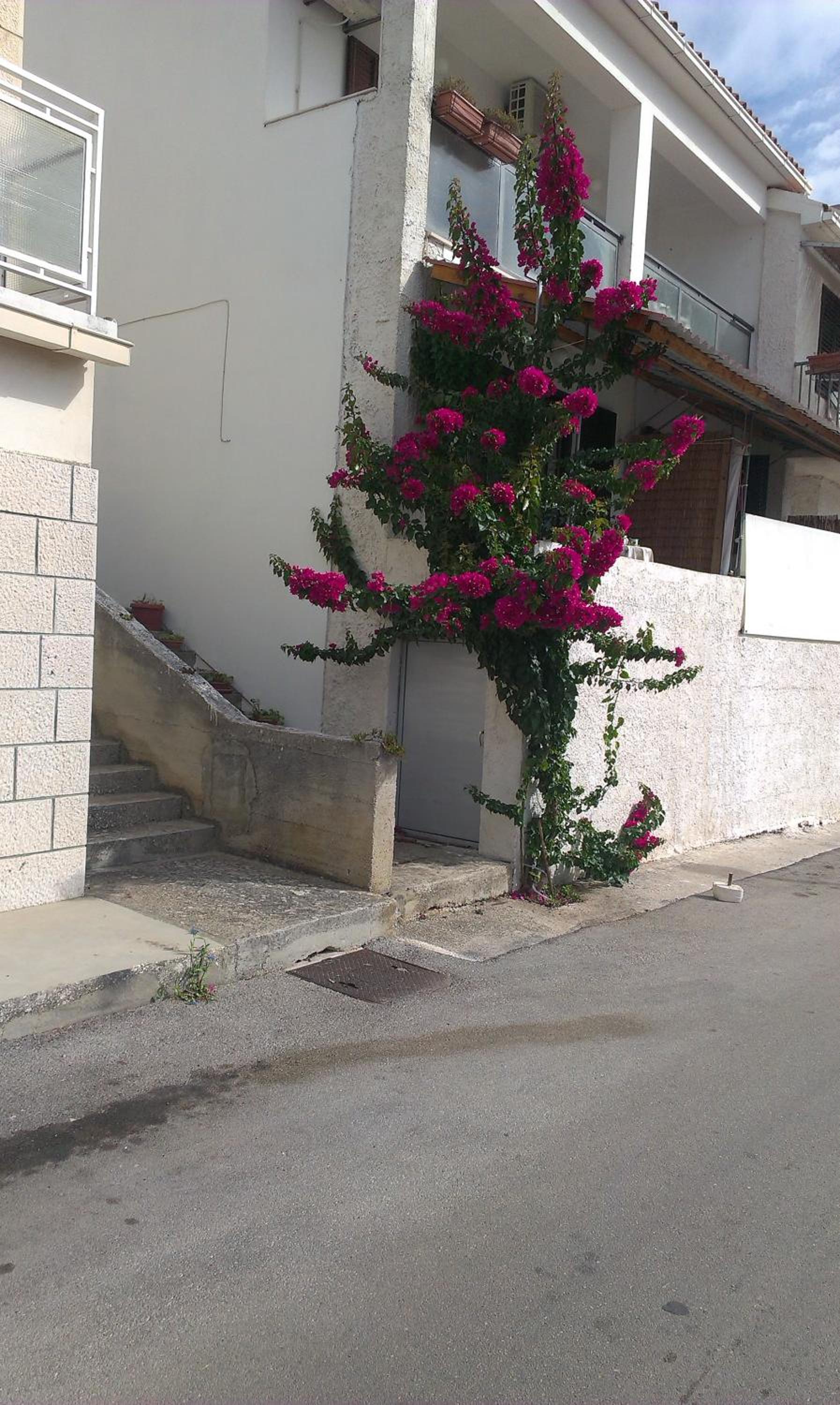 Apartments Luči