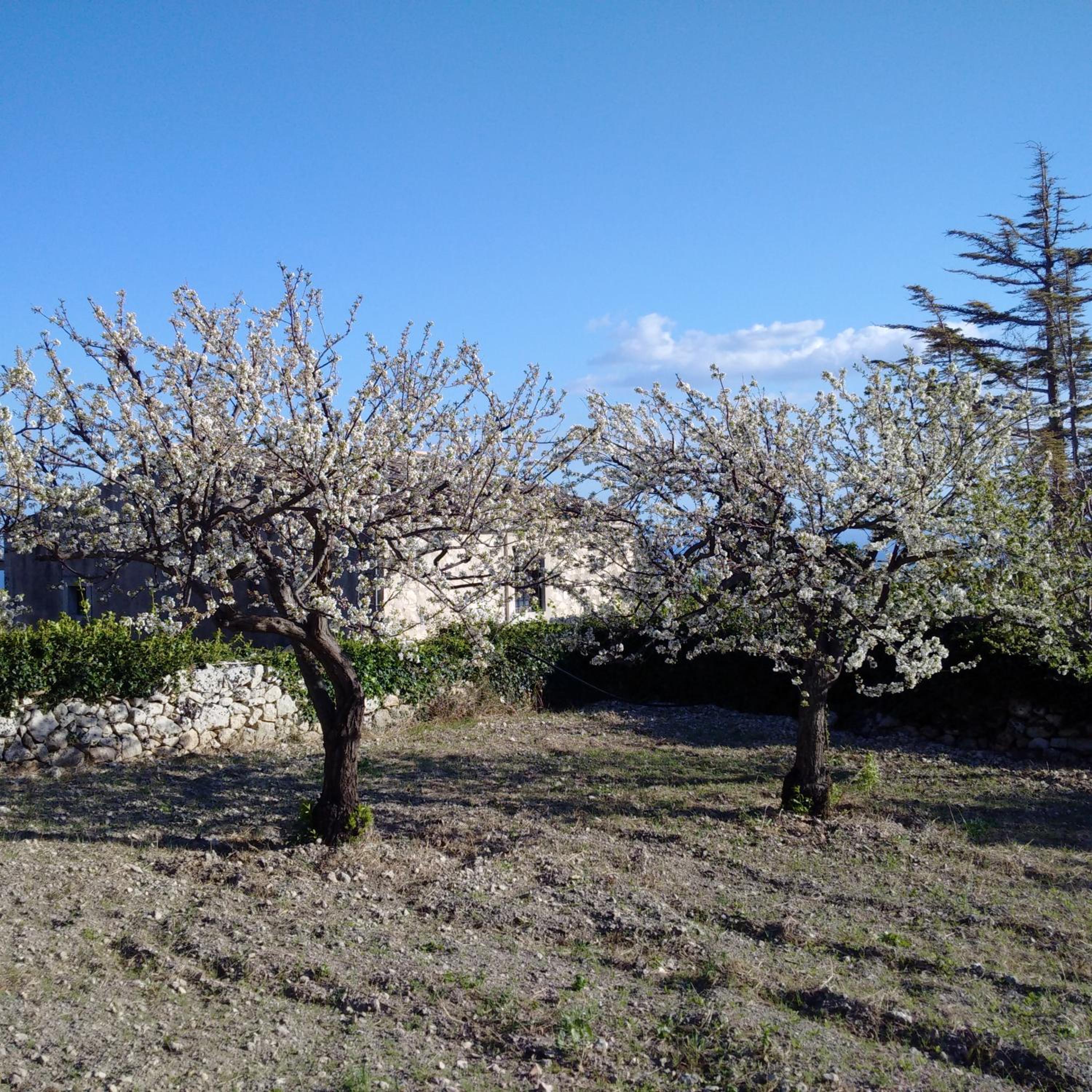 Photo 24