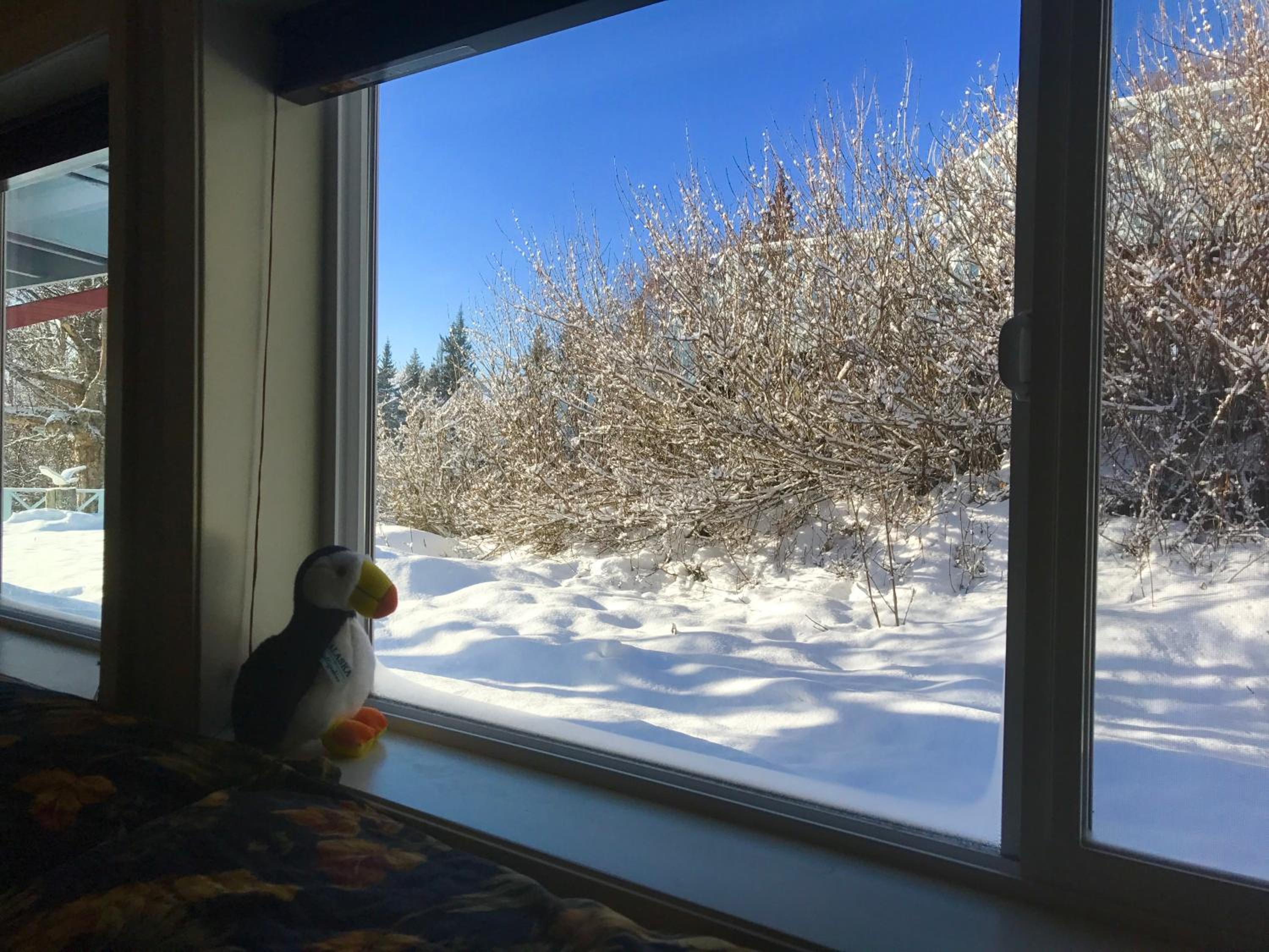 Homer Vacations - Halcyon Heights BB/Inn - Property Image 6