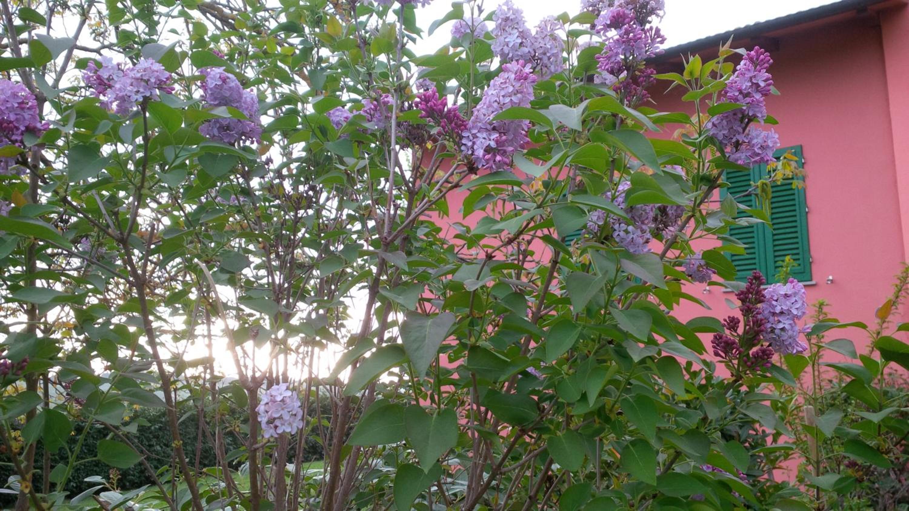 Agriturismo Le Caselle