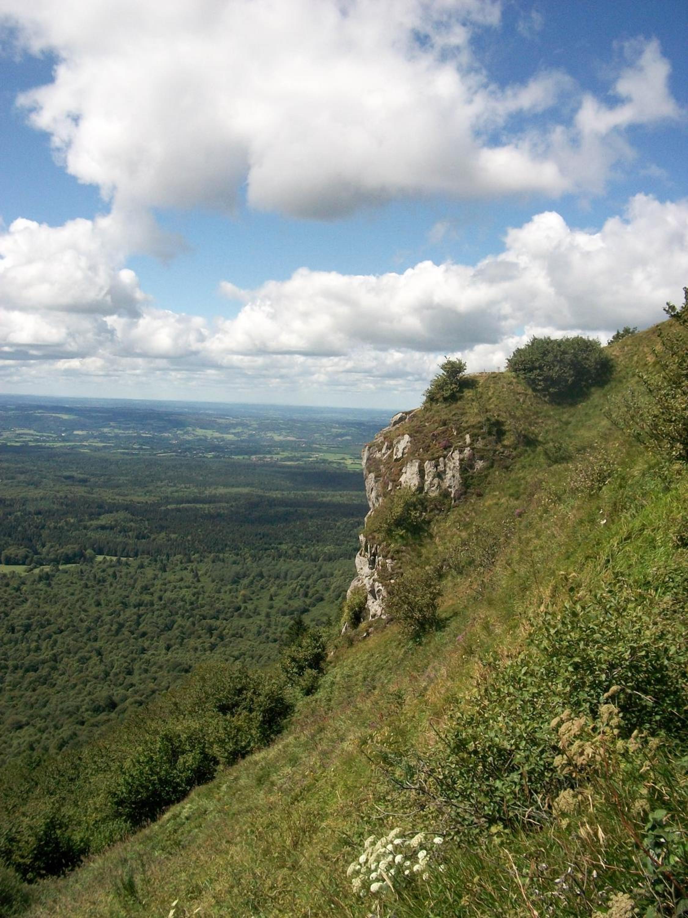 Domaine des Lilas